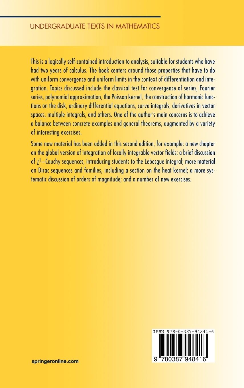 Rückseitencover Undergraduate Analysis