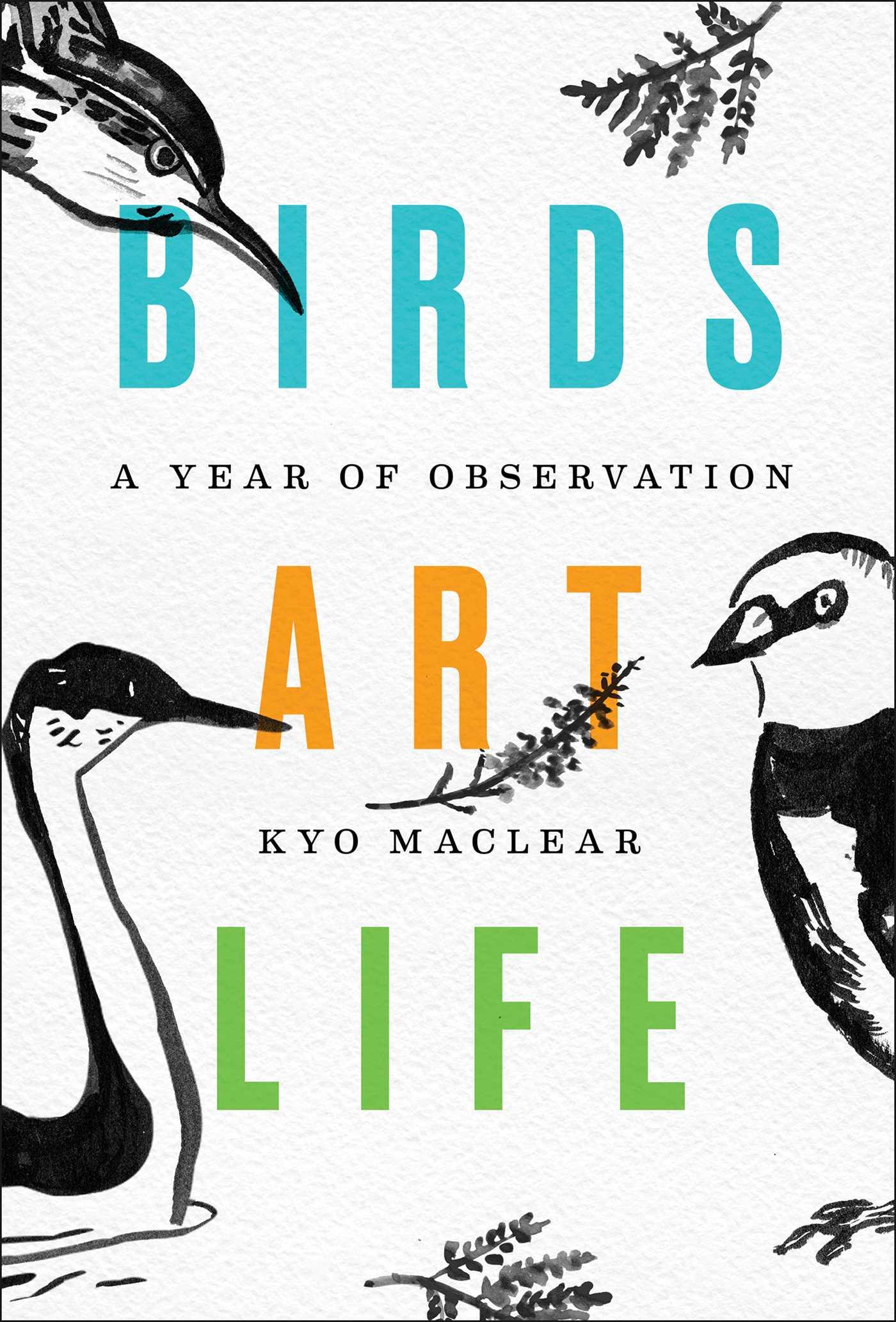 Vorderes Coverbild Birds Art Life: A Year of Observation
