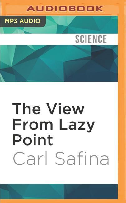 Vorderes Coverbild The View from Lazy Point