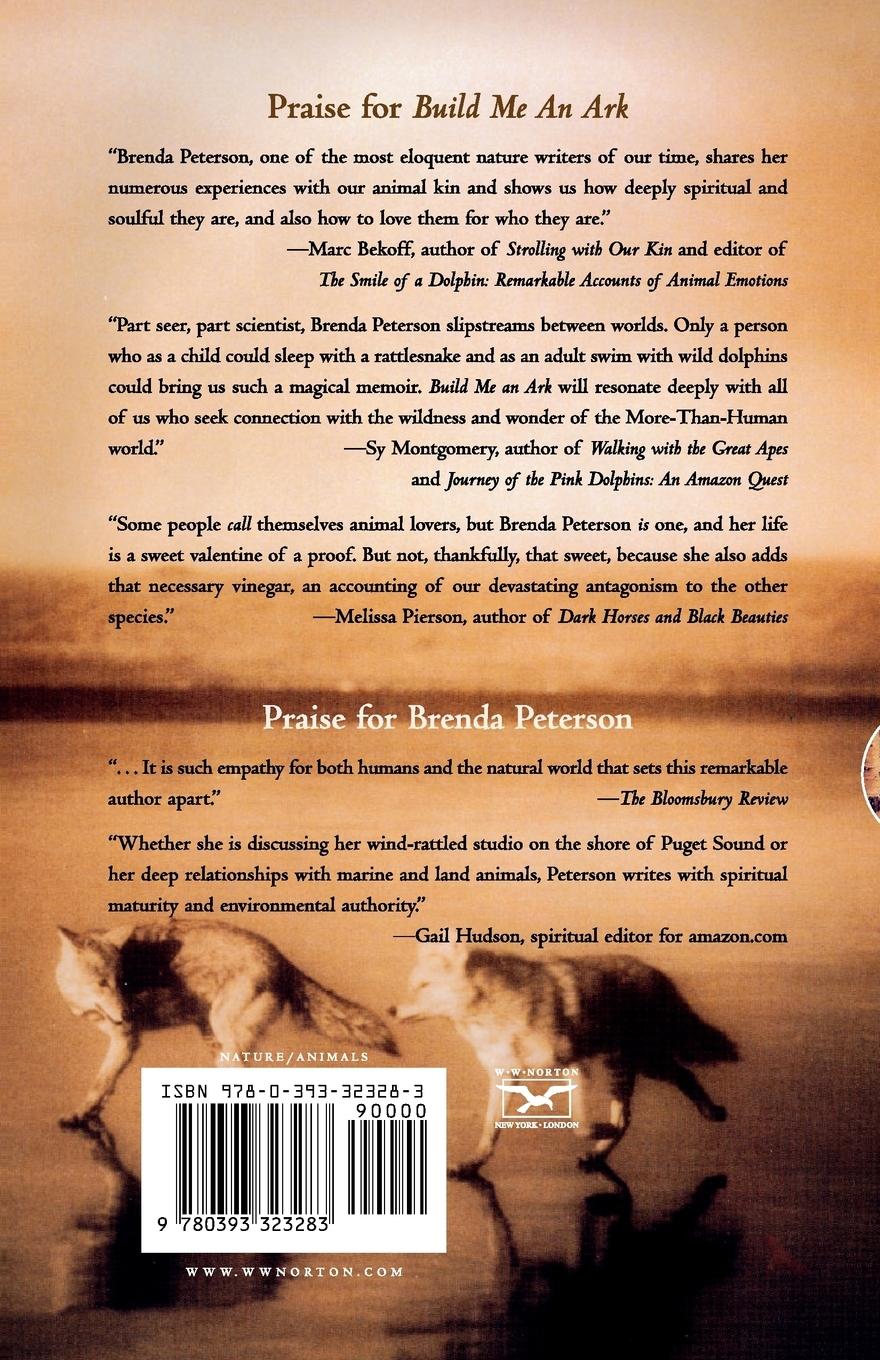 Rückseitencover Build Me an Ark