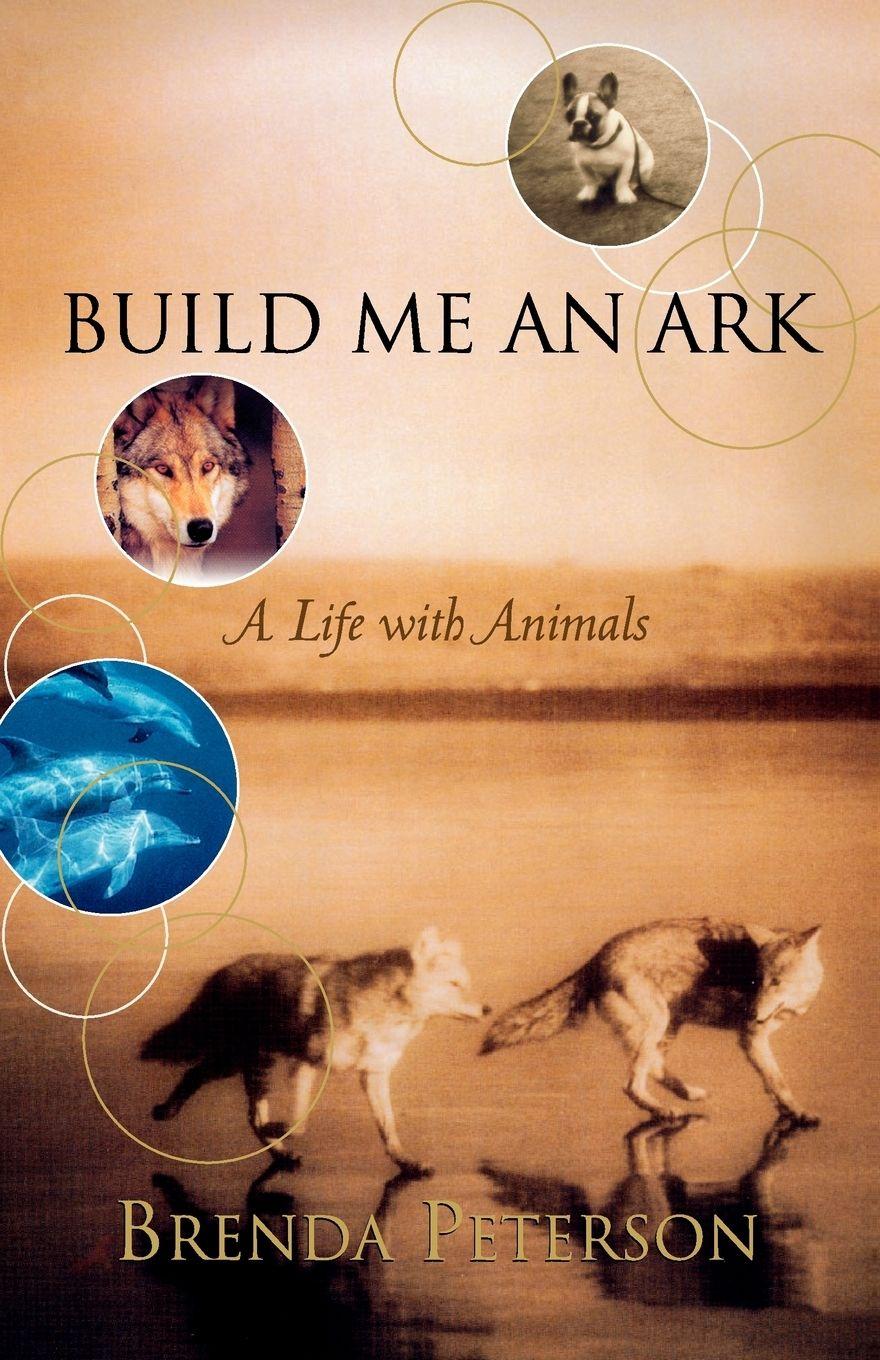 Vorderes Coverbild Build Me an Ark