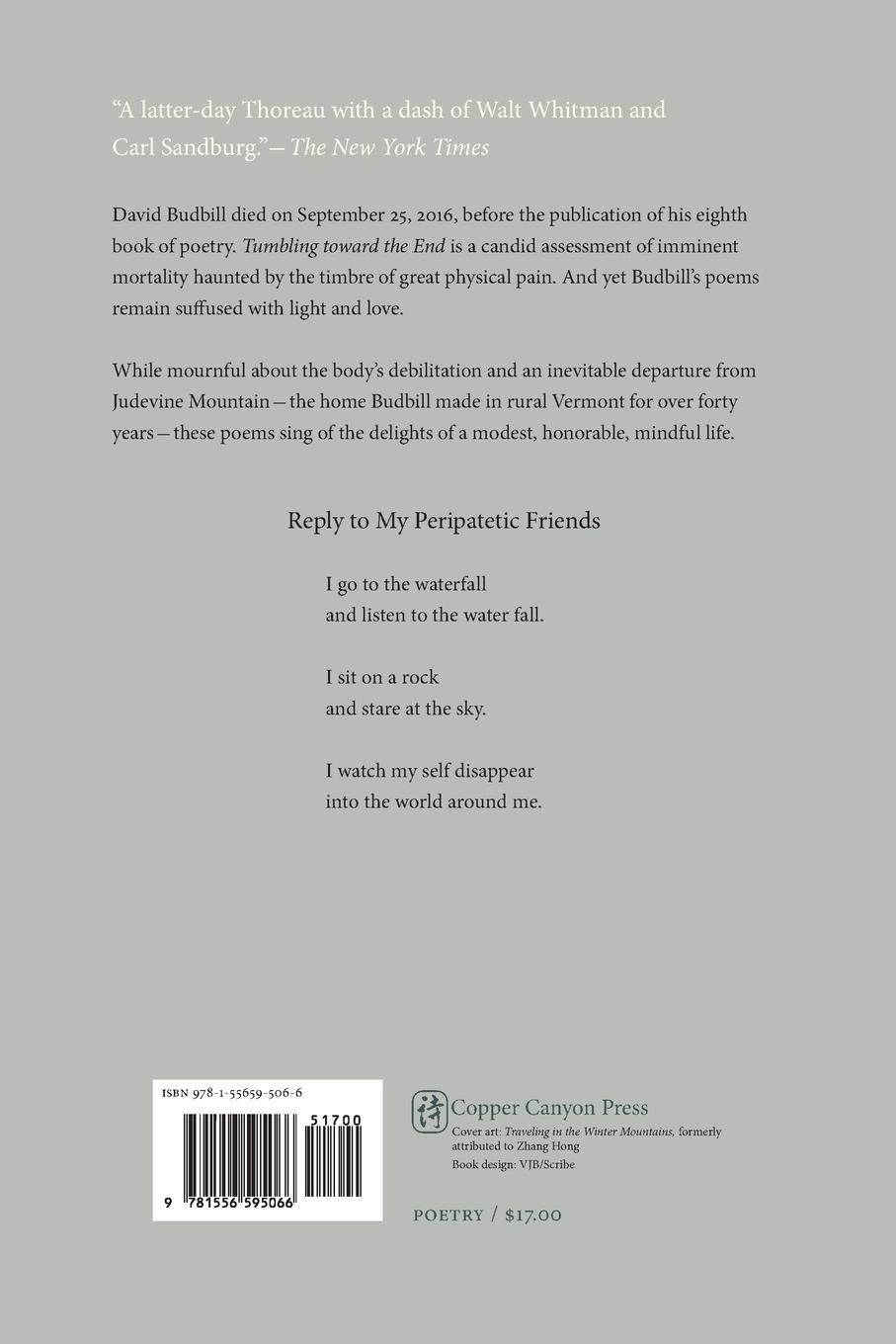 Rückseitencover Tumbling Toward the End