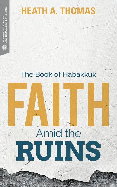 Vorderes Coverbild Faith Amid the Ruins