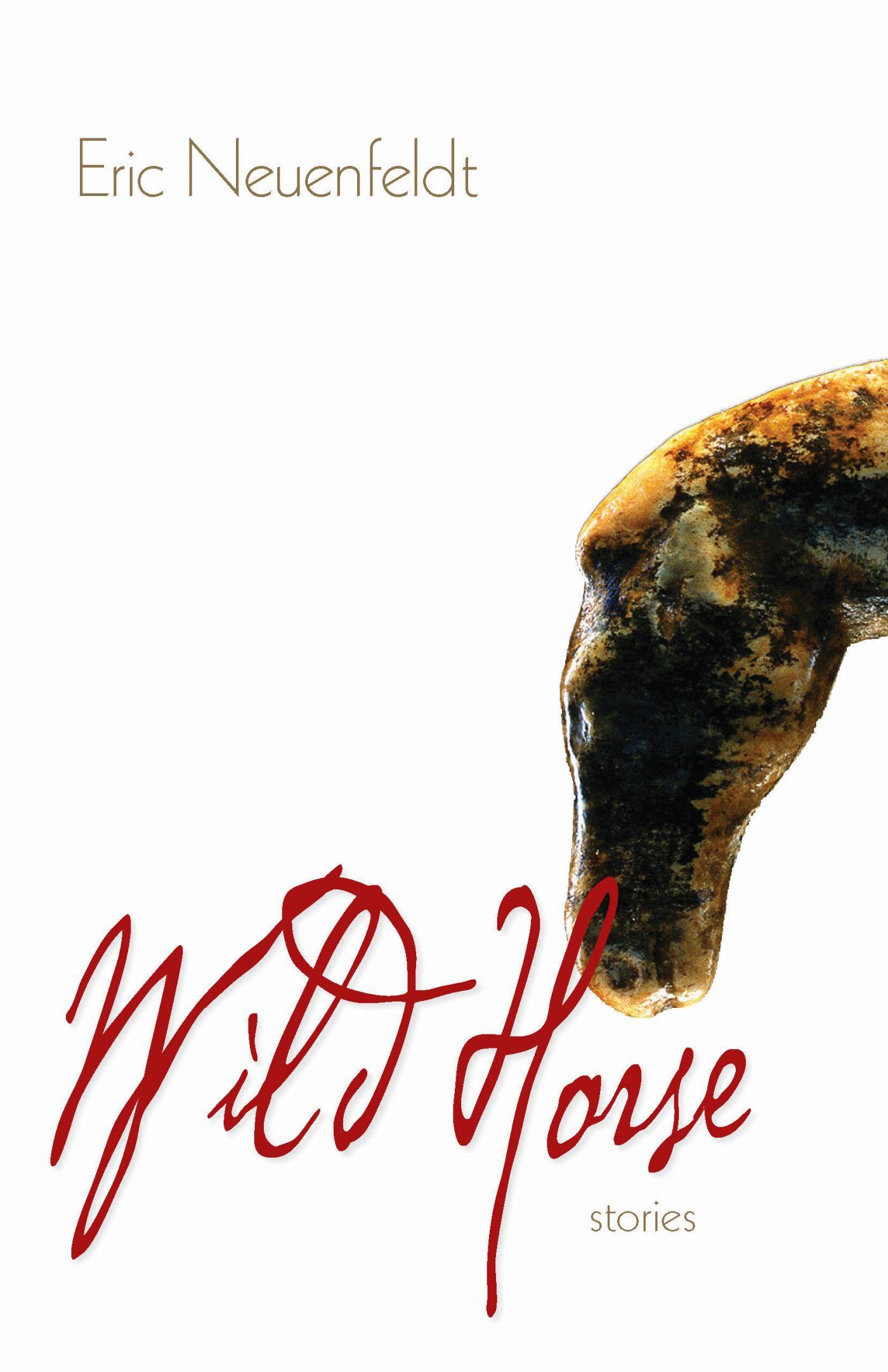 Vorderes Coverbild Wild Horse