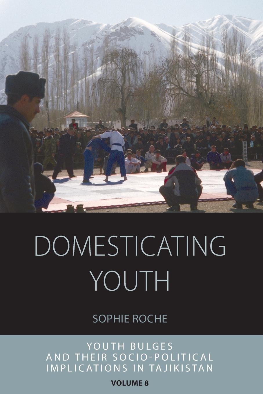Vorderes Coverbild Domesticating Youth