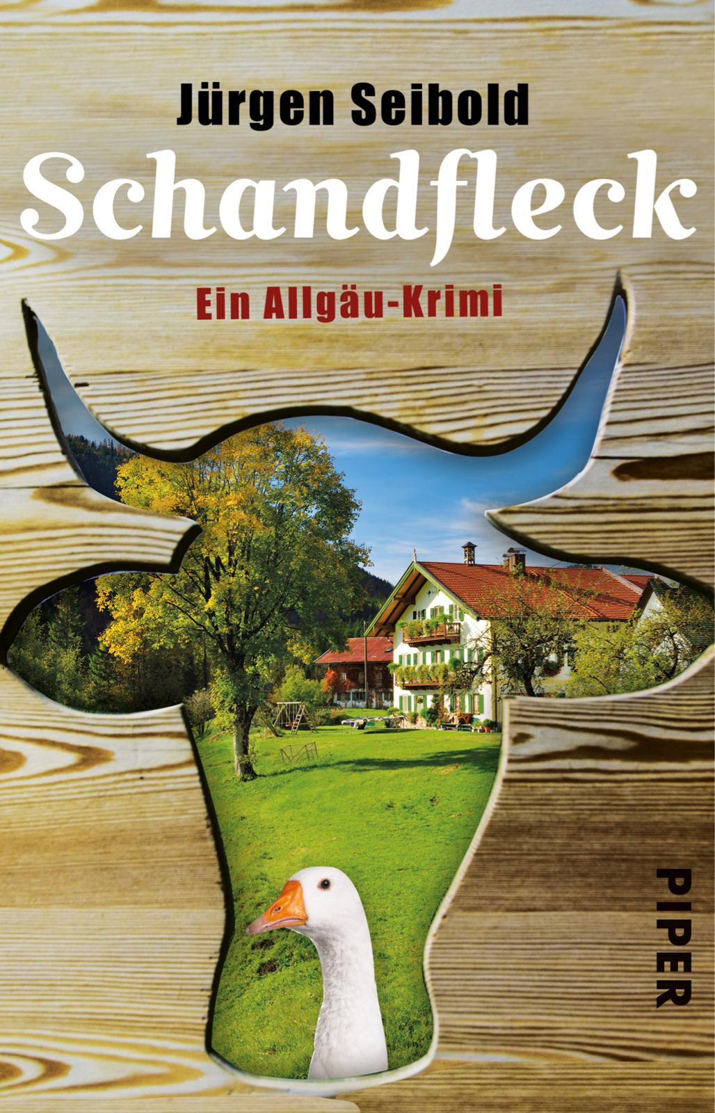 Vorderes Coverbild Schandfleck