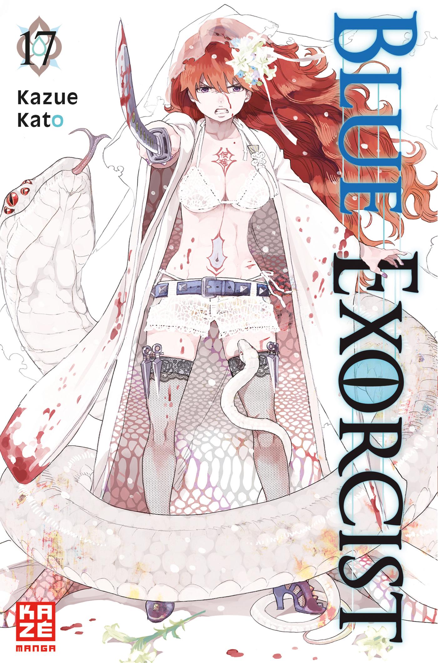 Vorderes Coverbild Blue Exorcist 17