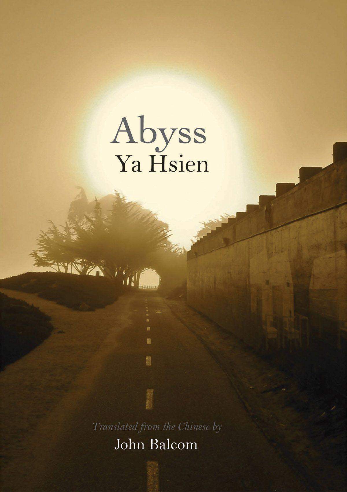 Vorderes Coverbild Abyss