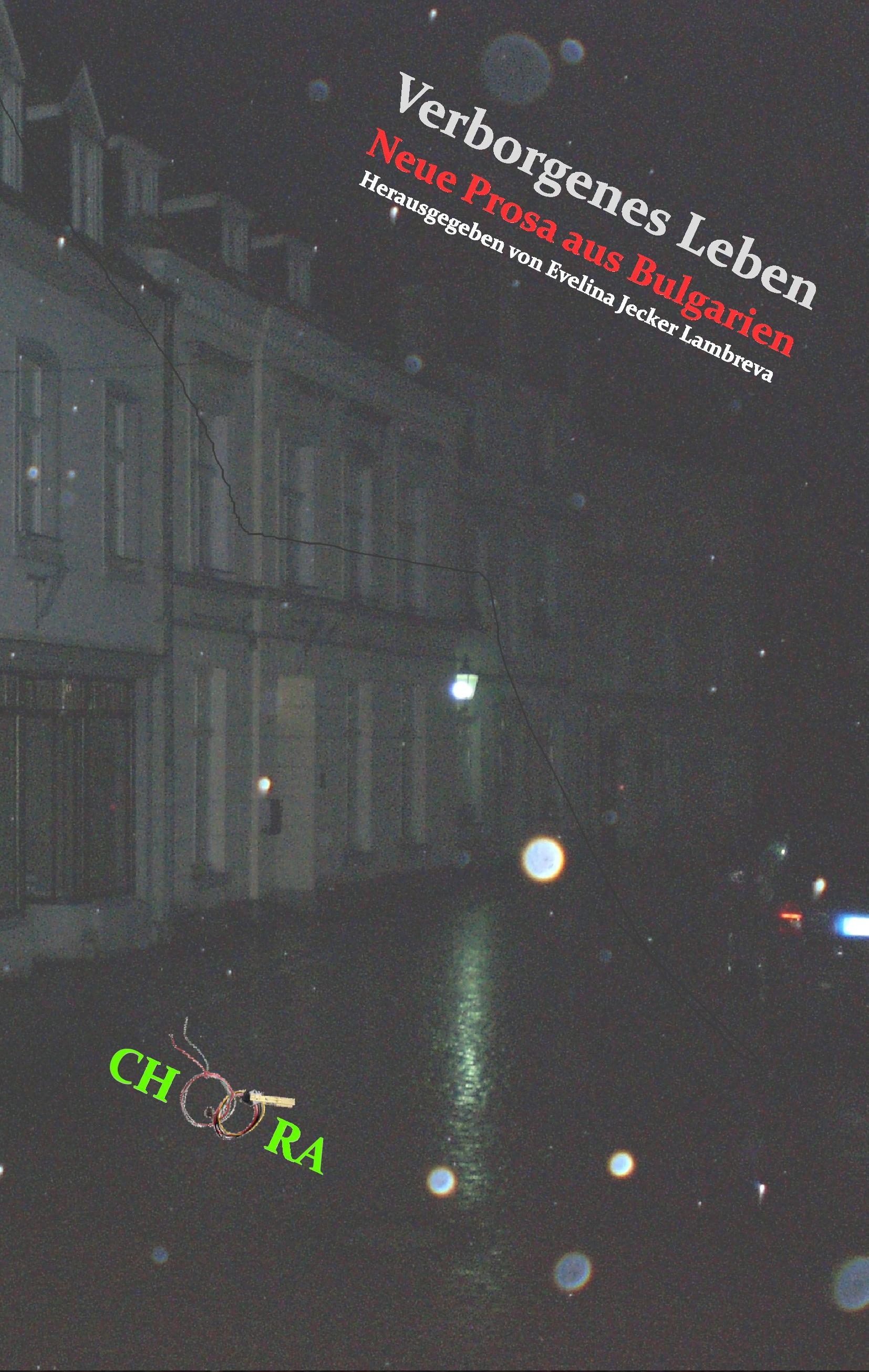 Vorderes Coverbild Verborgenes Leben