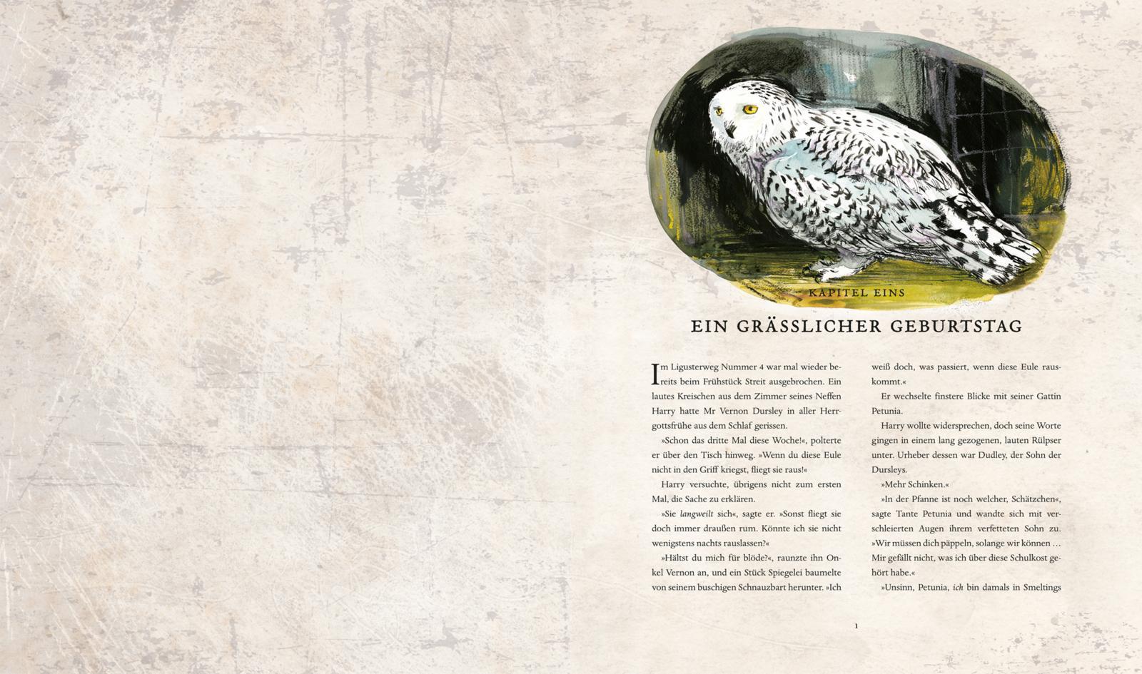 Beispielinhalt (Bild) Harry Potter 2 und die Kammer des Schreckens. Schmuckausgabe