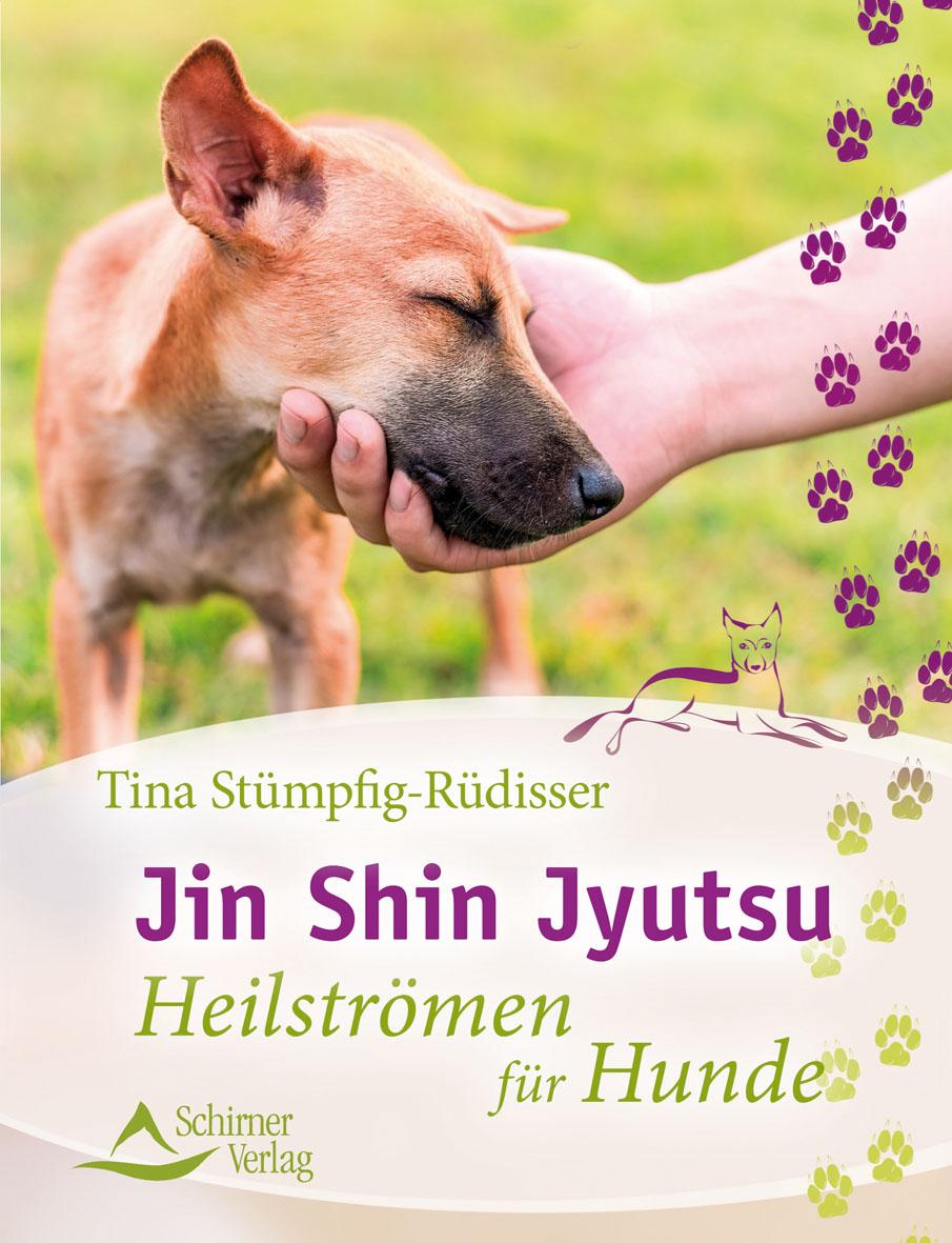 Vorderes Coverbild Jin Shin Jyutsu