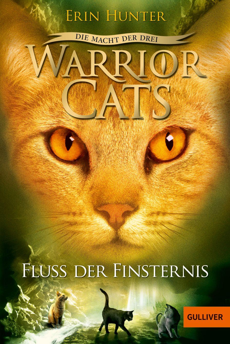 Vorderes Coverbild Warrior Cats Staffel 3/02. Die Macht der Drei. Fluss der Finsternis