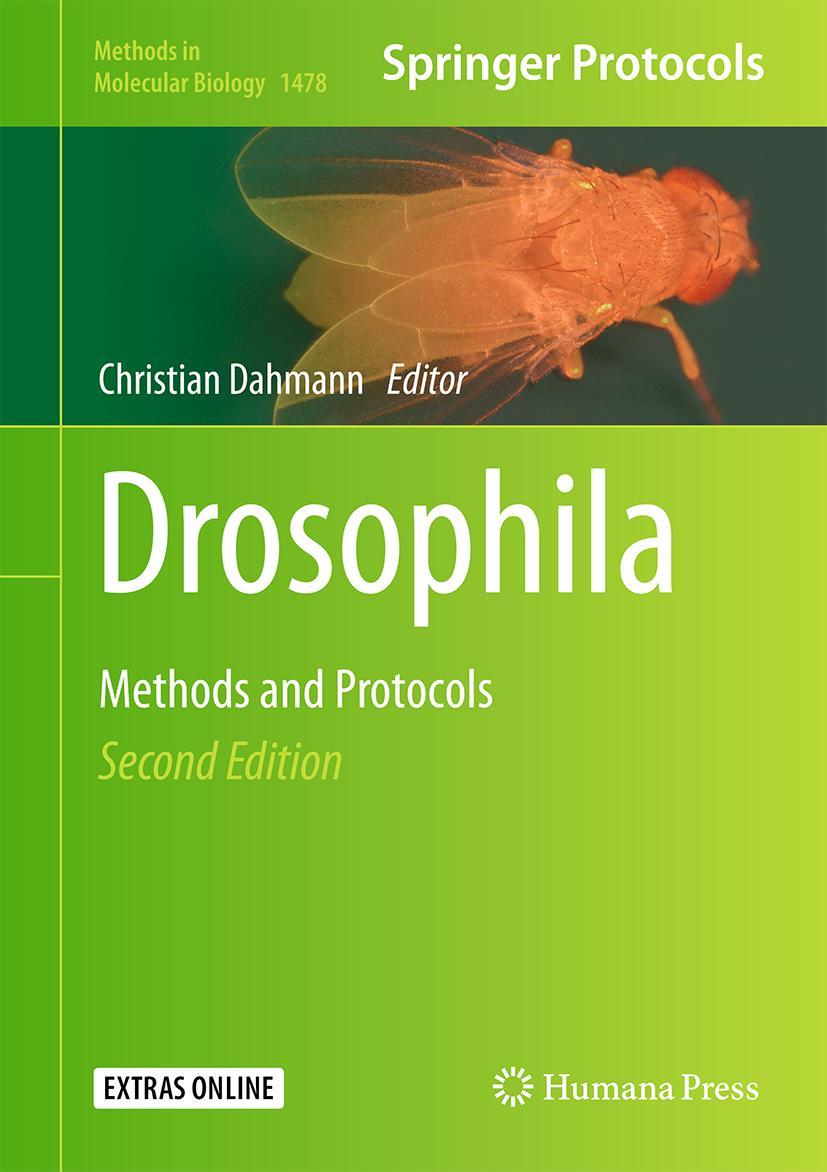Vorderes Coverbild Drosophila