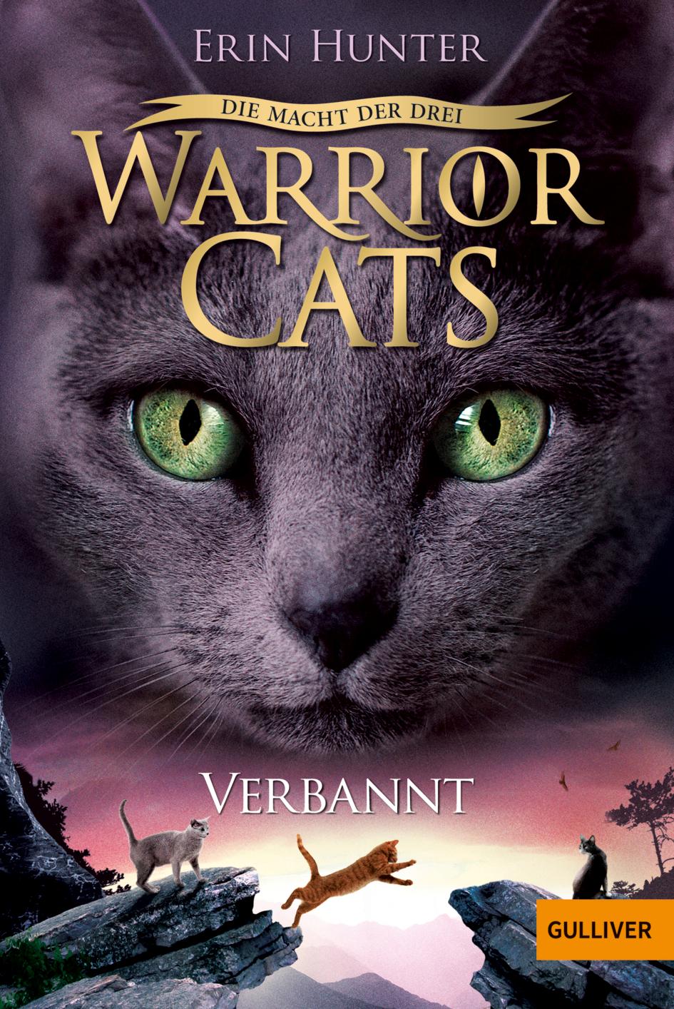 Vorderes Coverbild Warrior Cats Staffel 3/03. Die Macht der Drei. Verbannt