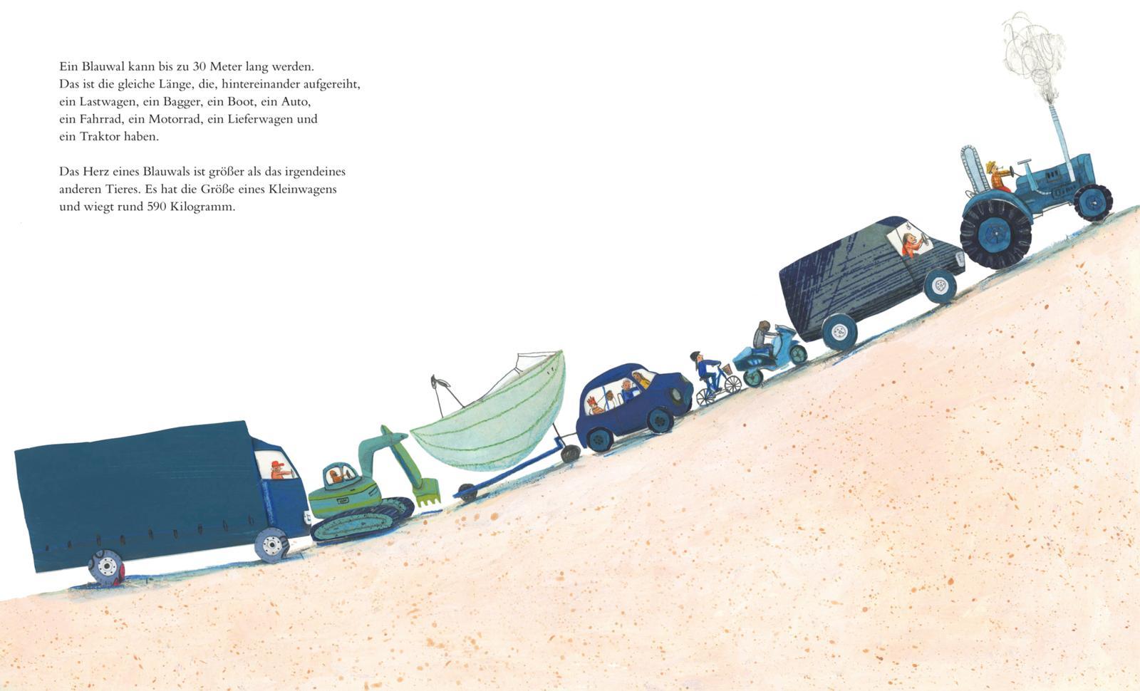 Beispielinhalt (Bild) Der Blauwal