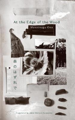 Vorderes Coverbild Keshiki 6