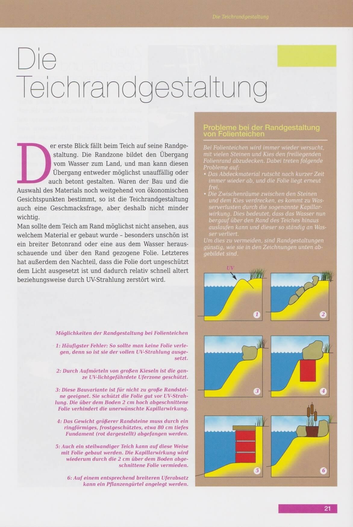 Beispielinhalt (Bild) Repräsentative Gartenteiche und Wassergärten