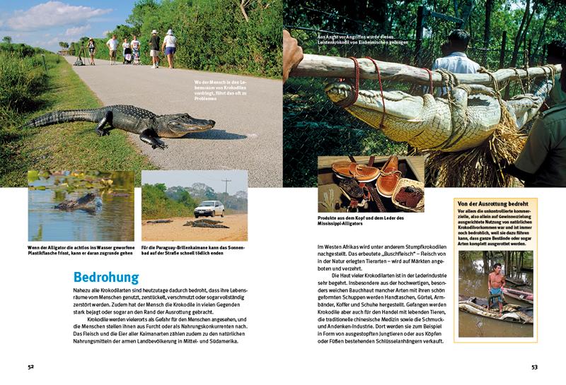 Beispielinhalt (Bild) Entdecke die Krokodile
