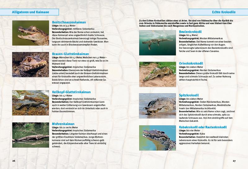 Beispielinhalt (Bild) Entdecke die Krokodile