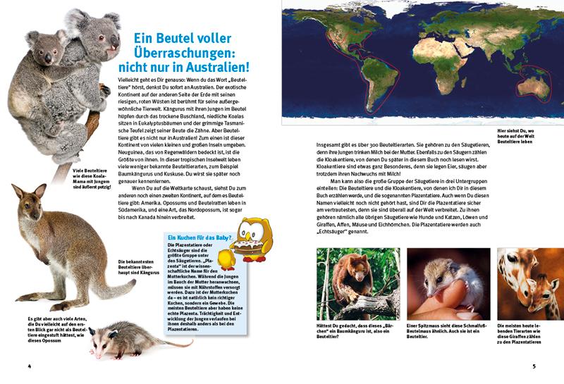 Beispielinhalt (Bild) Entdecke die Beuteltiere