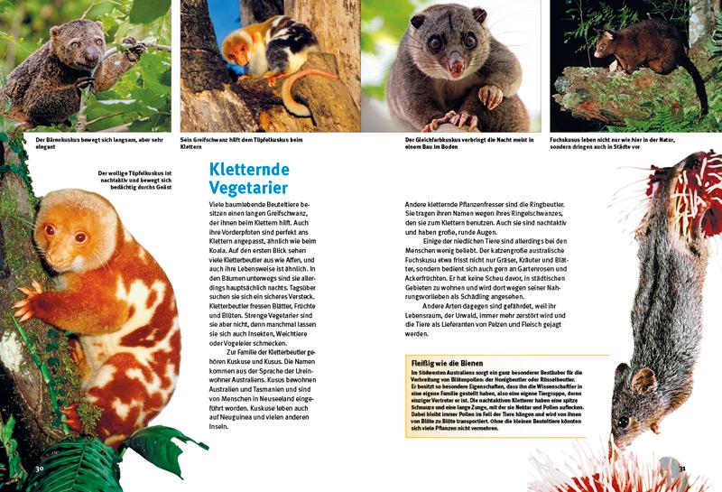 Beispielinhalt (Bild) Entdecke die Beuteltiere