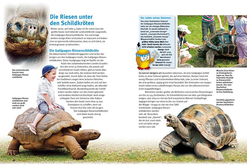 Beispielinhalt (Bild) Entdecke die Schildkröten
