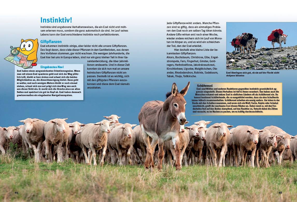 Beispielinhalt (Bild) Entdecke die Esel