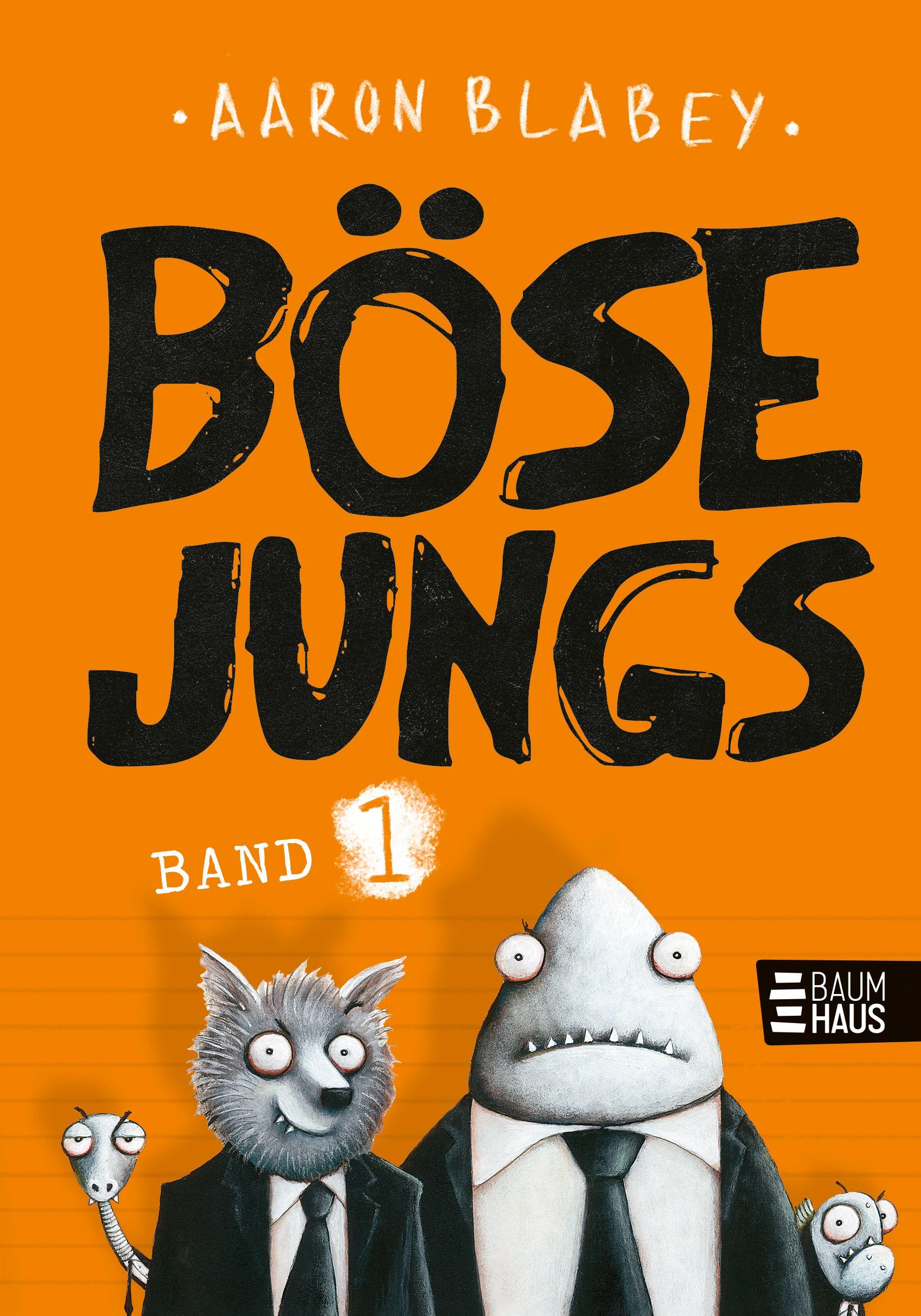 Vorderes Coverbild Böse Jungs