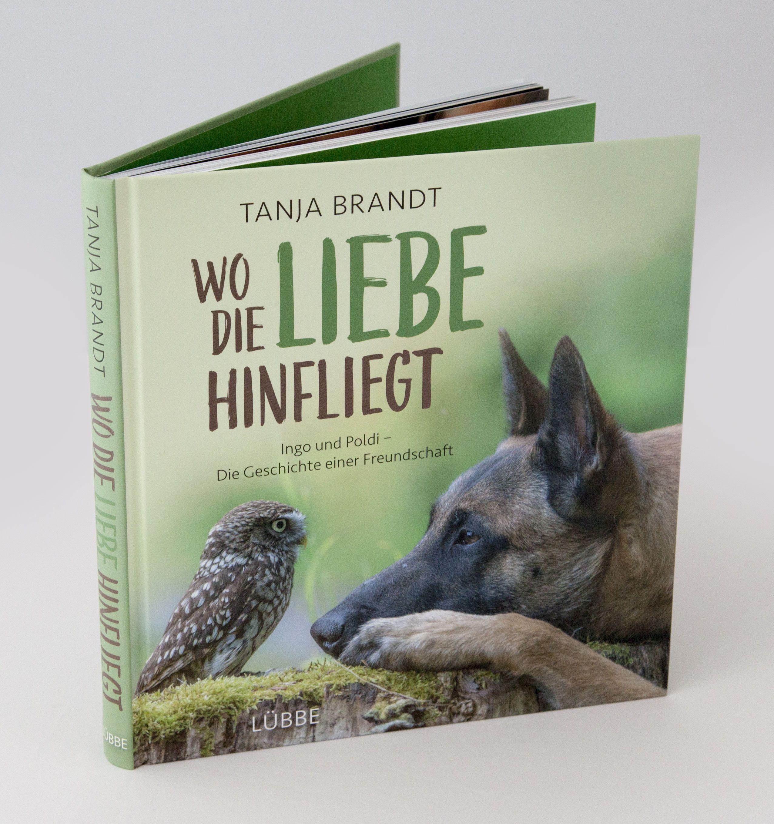 Beispielinhalt (Bild) Wo die Liebe hinfliegt