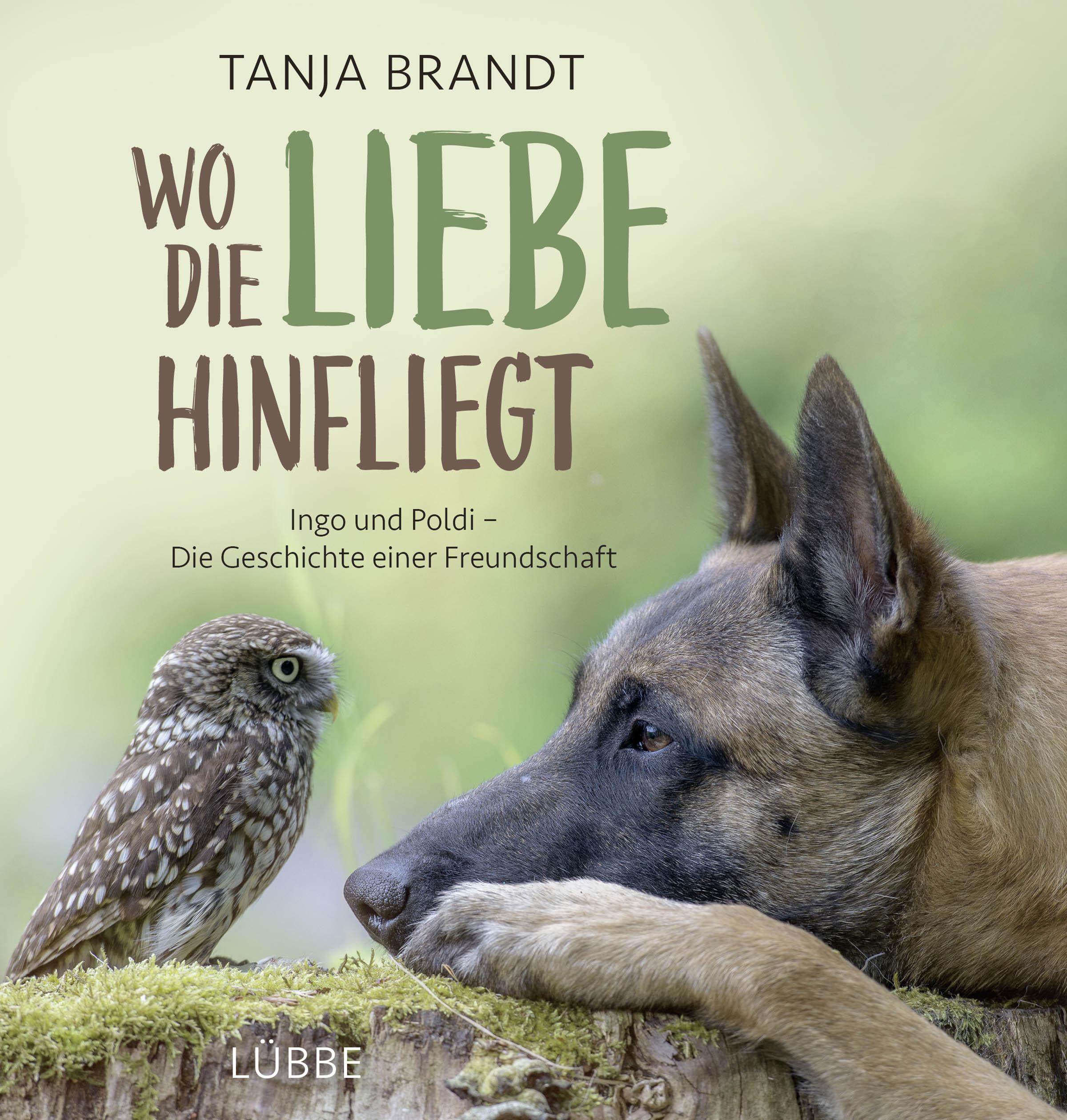 Vorderes Coverbild Wo die Liebe hinfliegt