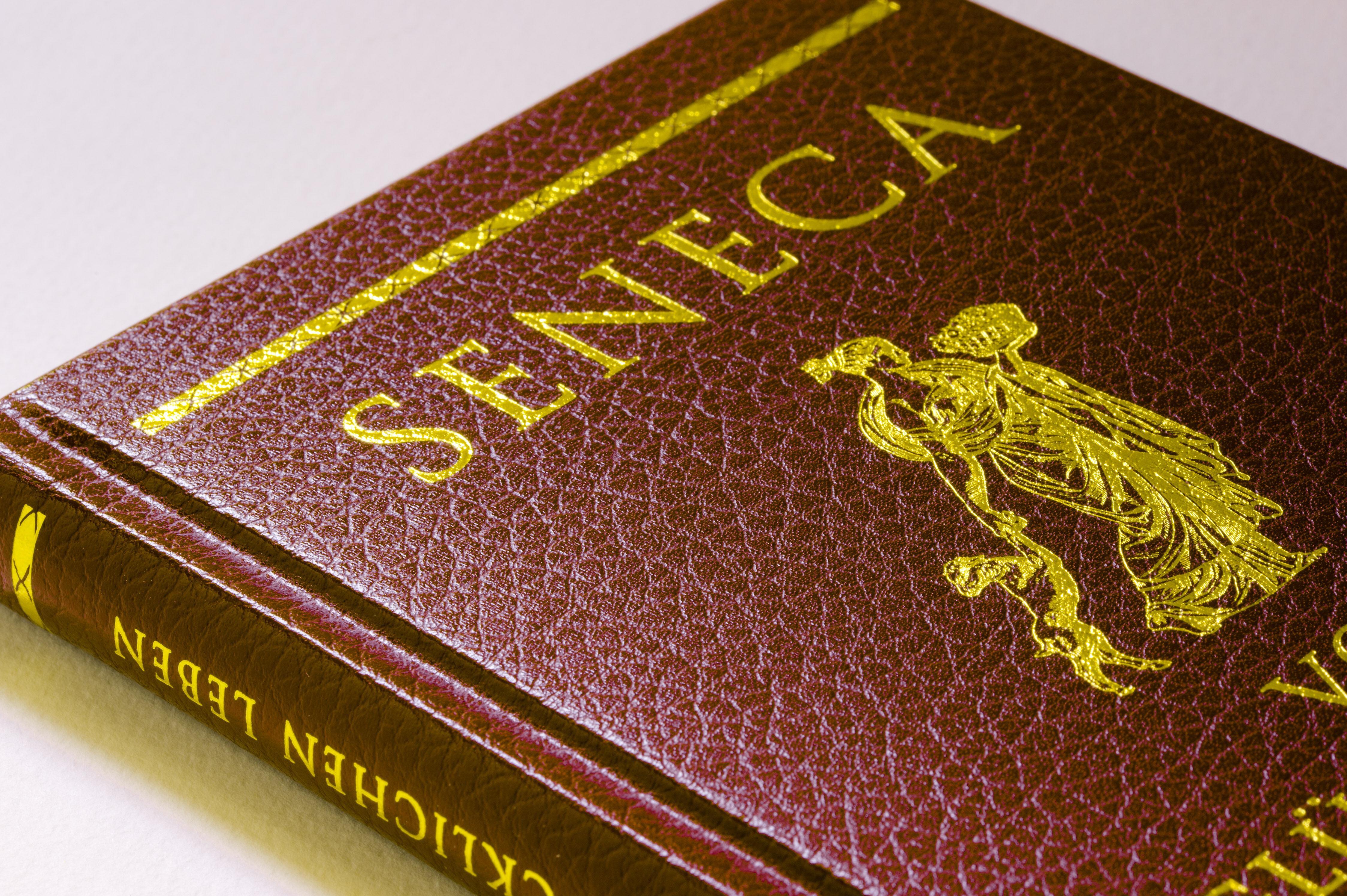 Beispielinhalt (Bild) Vom glücklichen Leben (Cabra-Lederausgabe)