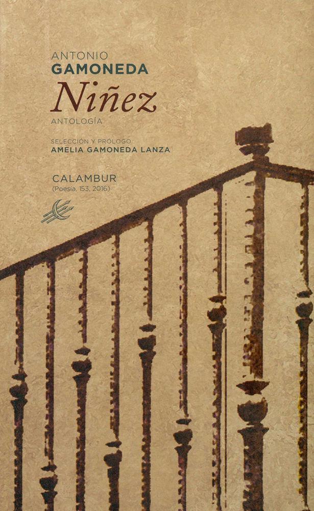 Vorderes Coverbild Niñez