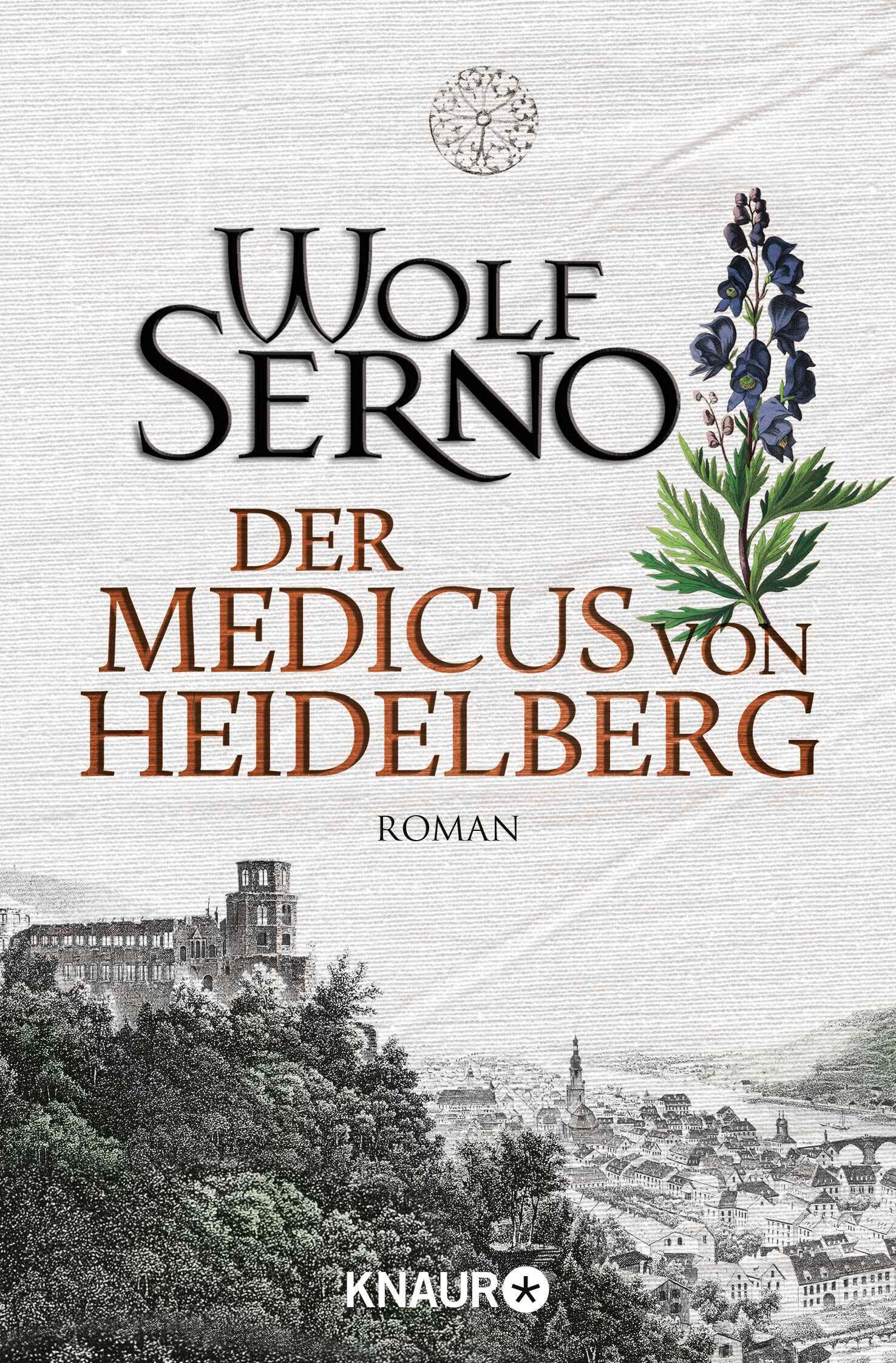 Vorderes Coverbild Der Medicus von Heidelberg