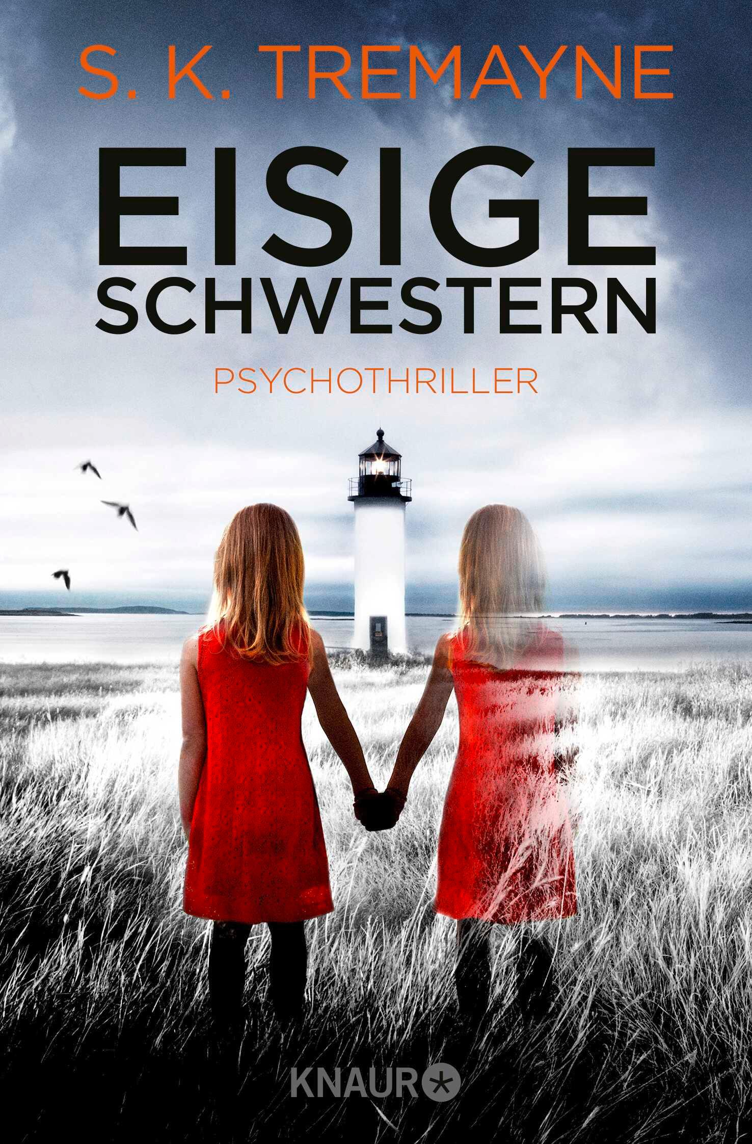 Vorderes Coverbild Eisige Schwestern
