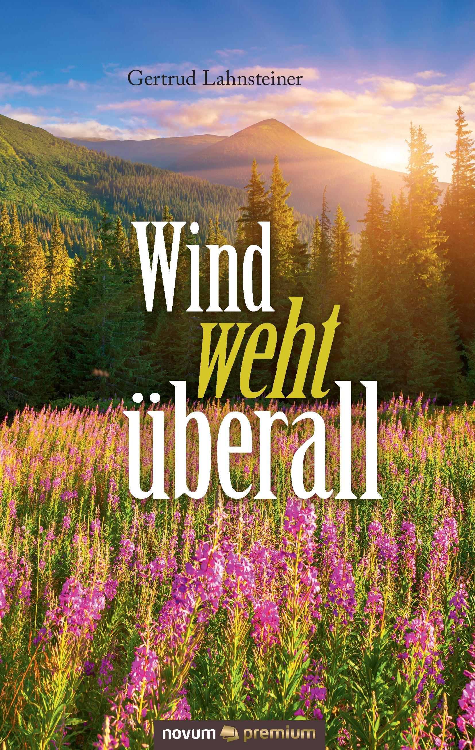 Vorderes Coverbild Wind weht überall