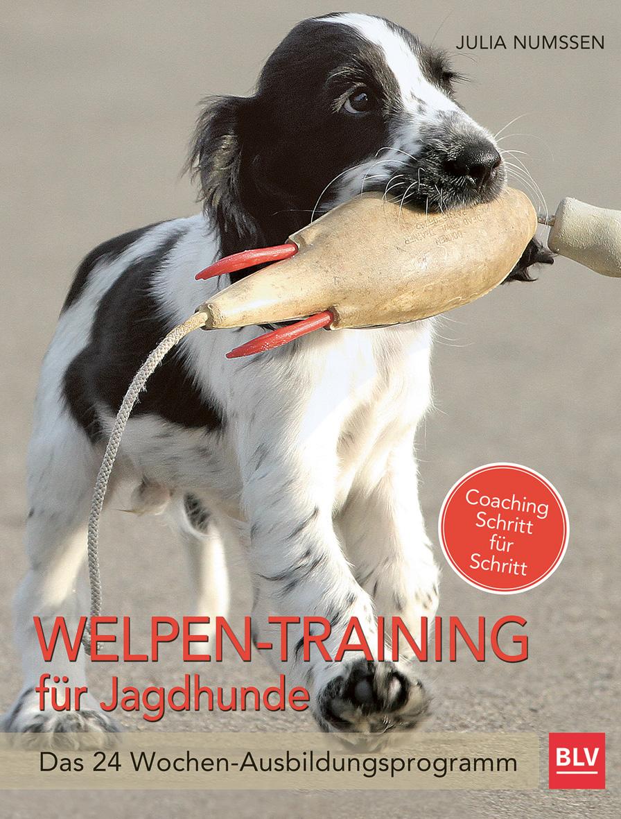 Vorderes Coverbild Welpen-Training für Jagdhunde