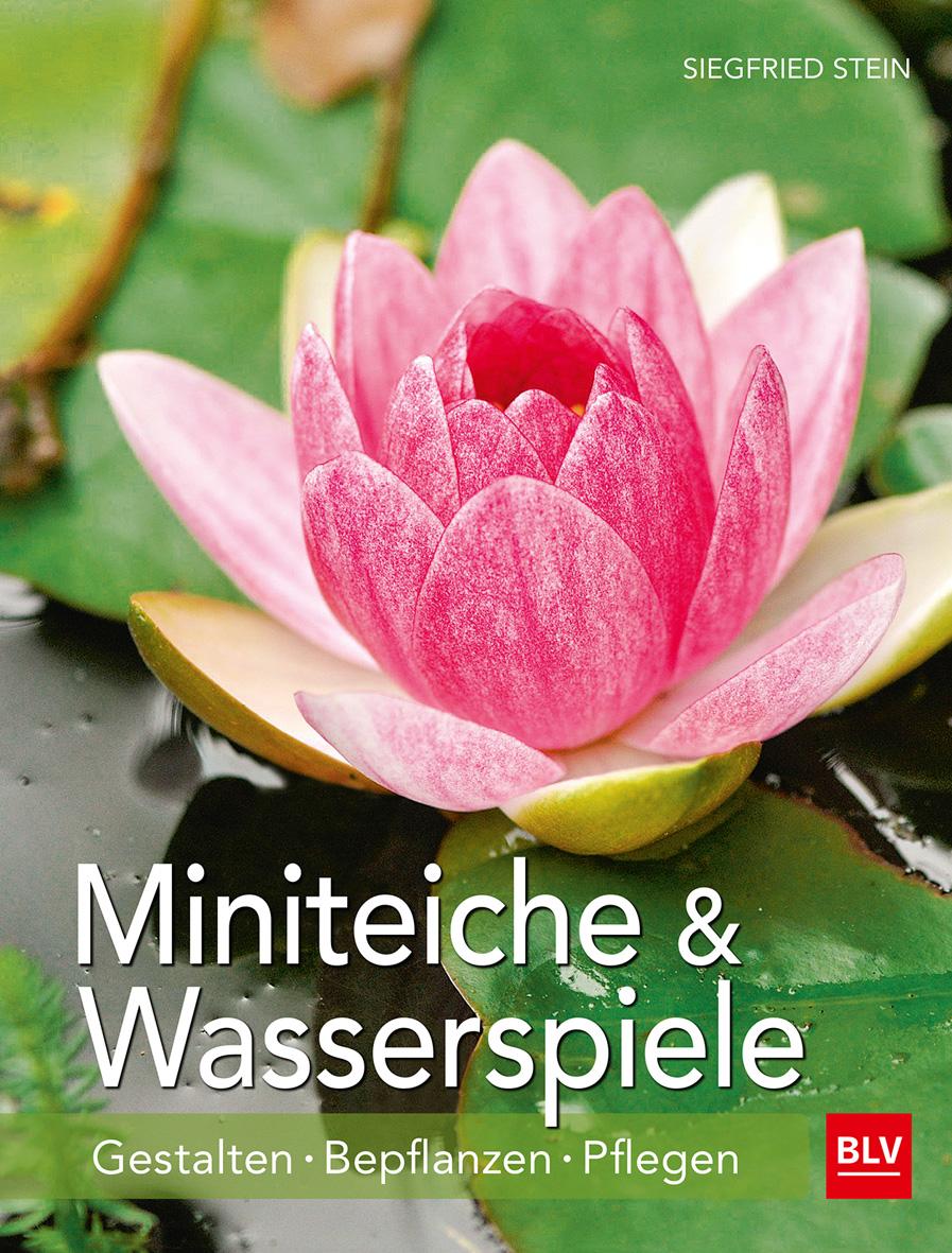 Vorderes Coverbild Miniteiche und Wasserspiele