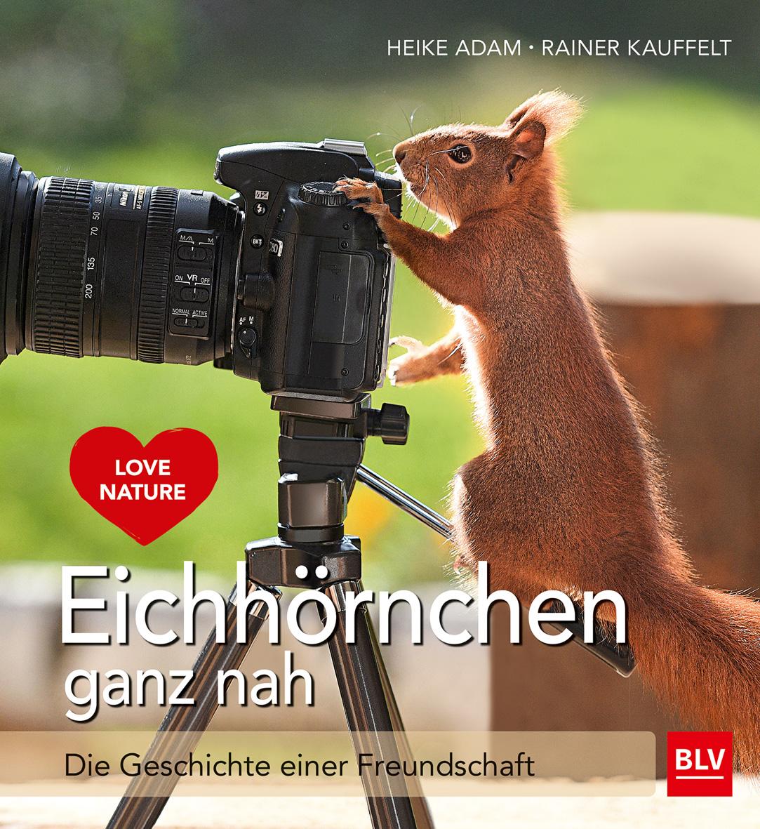 Vorderes Coverbild Eichhörnchen ganz nah