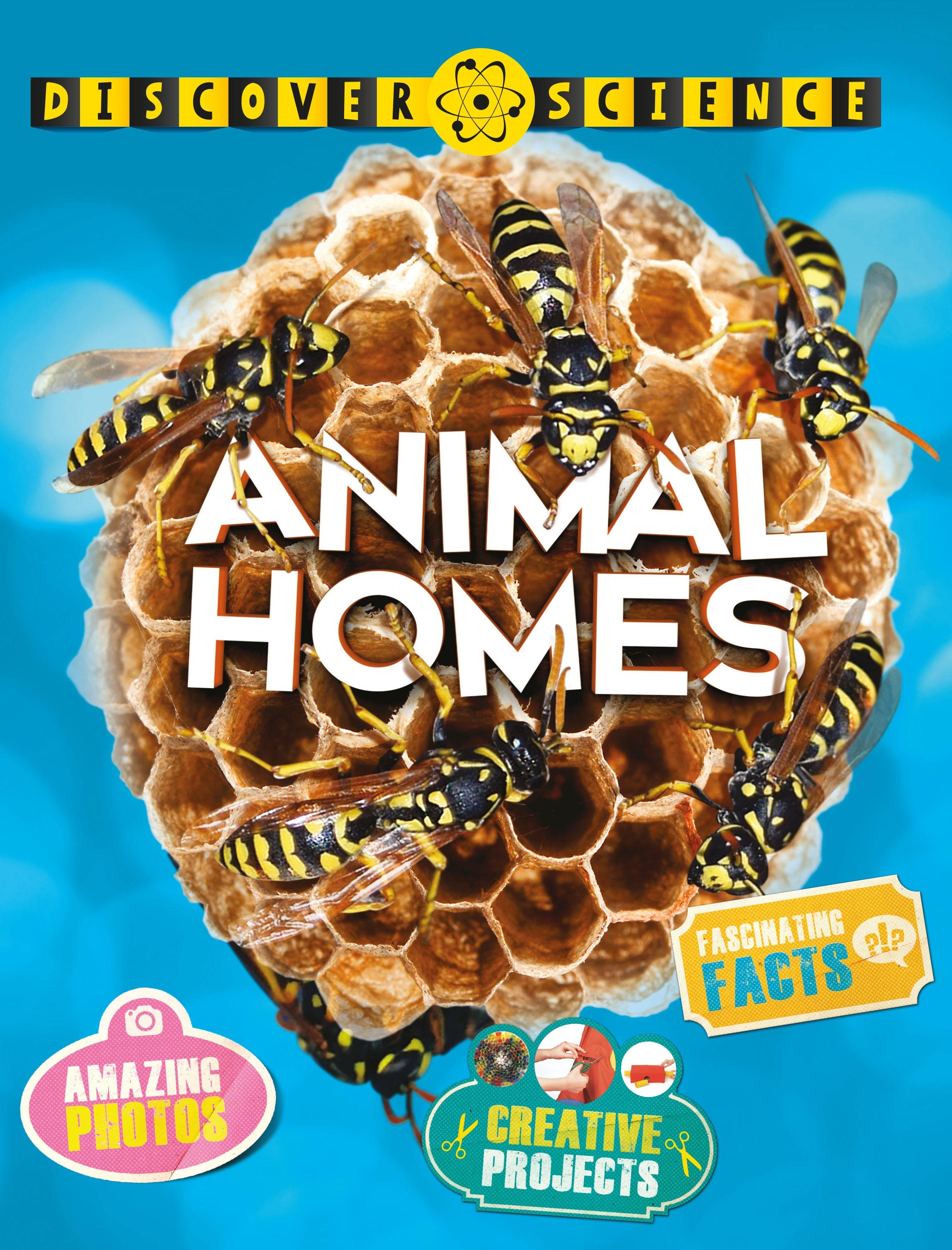 Vorderes Coverbild Animal Homes