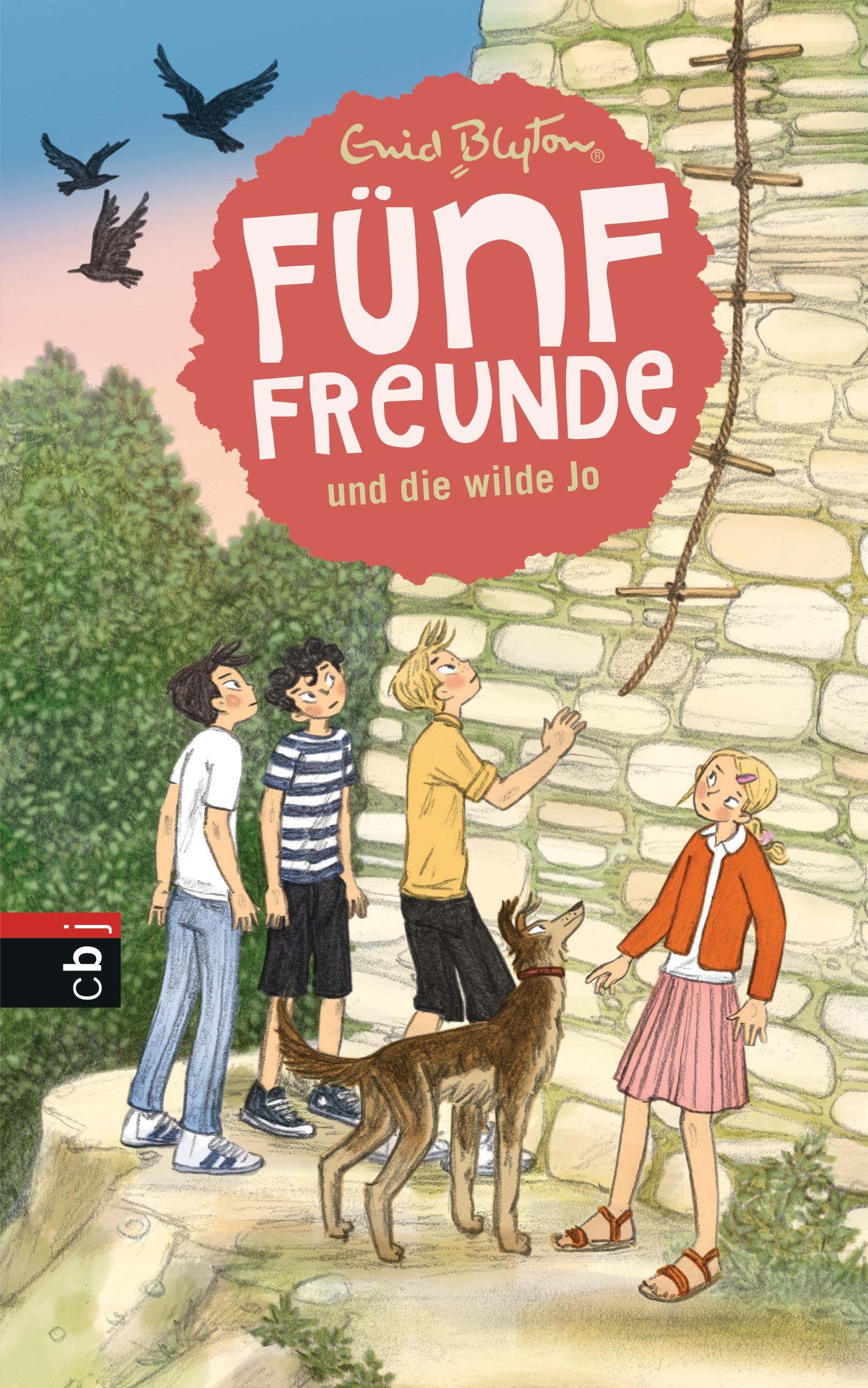 Vorderes Coverbild Fünf Freunde und die wilde Jo