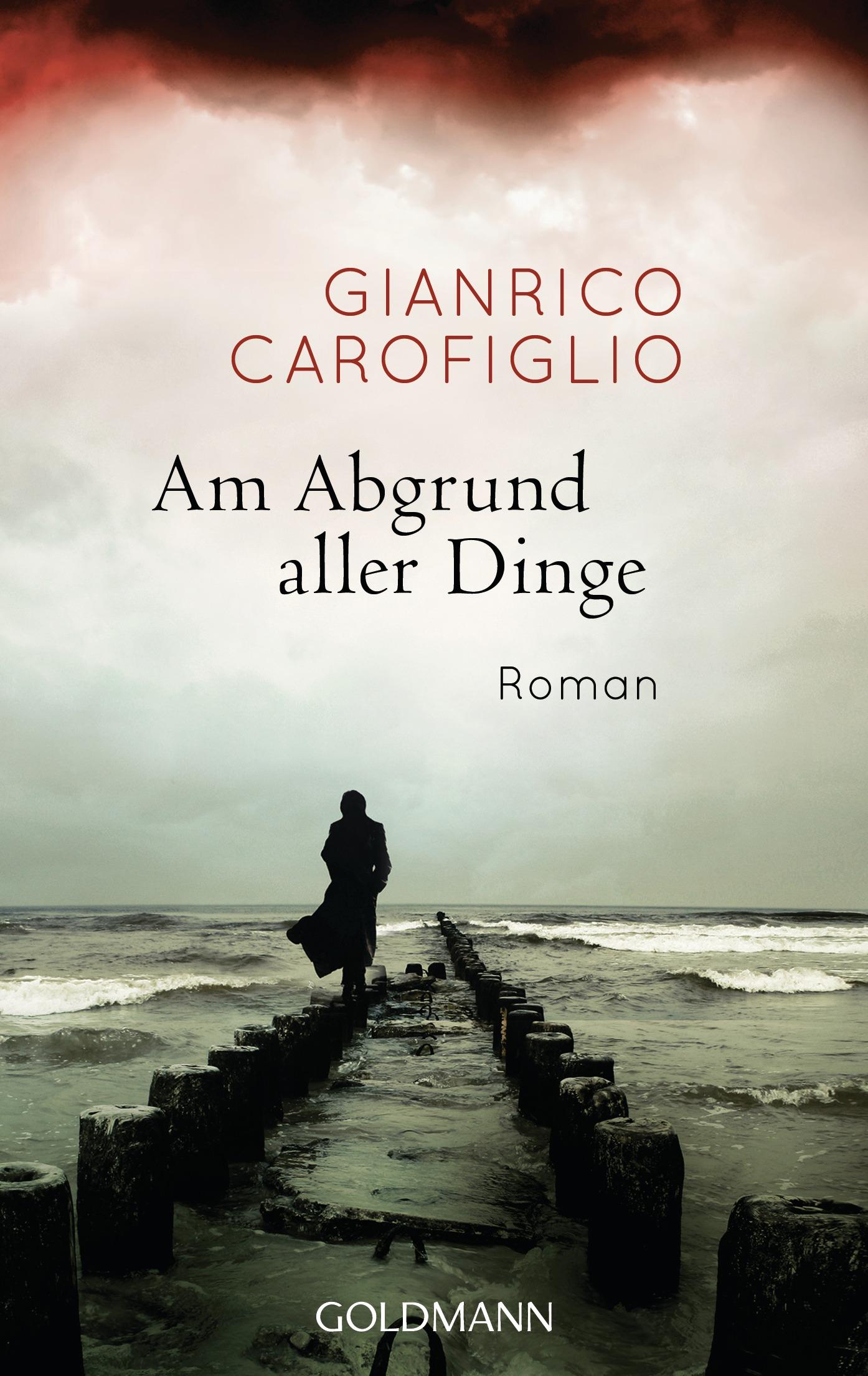 Vorderes Coverbild Am Abgrund aller Dinge