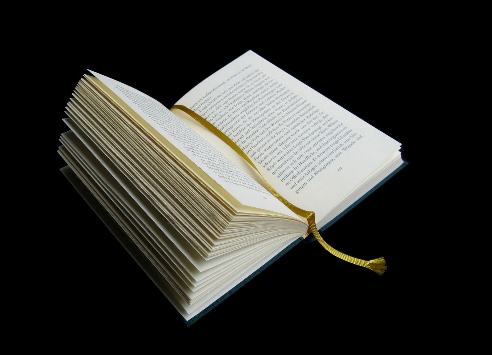 Beispielinhalt (Bild) Faber oder Die verlorenen Jahre