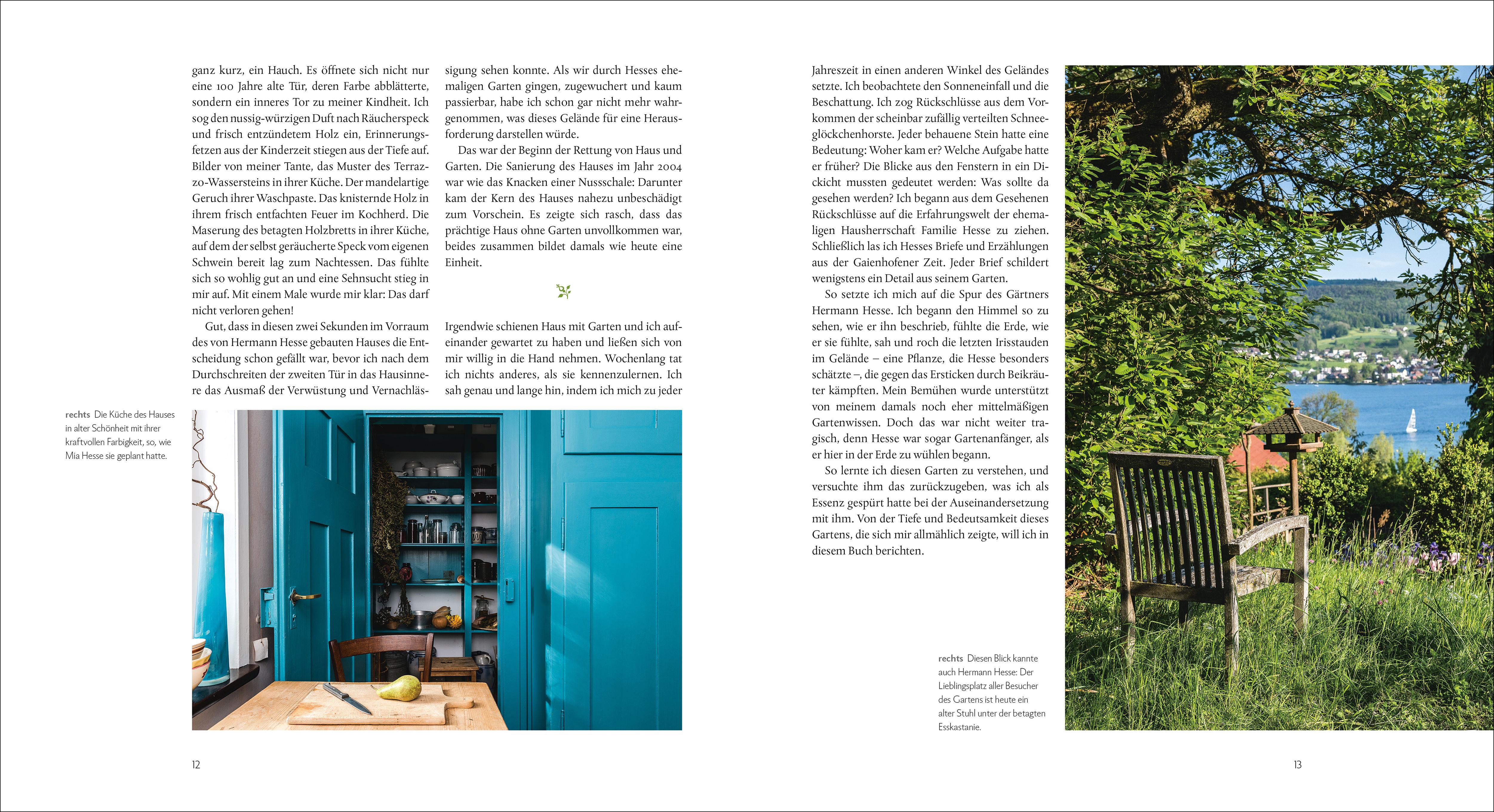 Beispielinhalt (Bild) Der Garten von Hermann Hesse