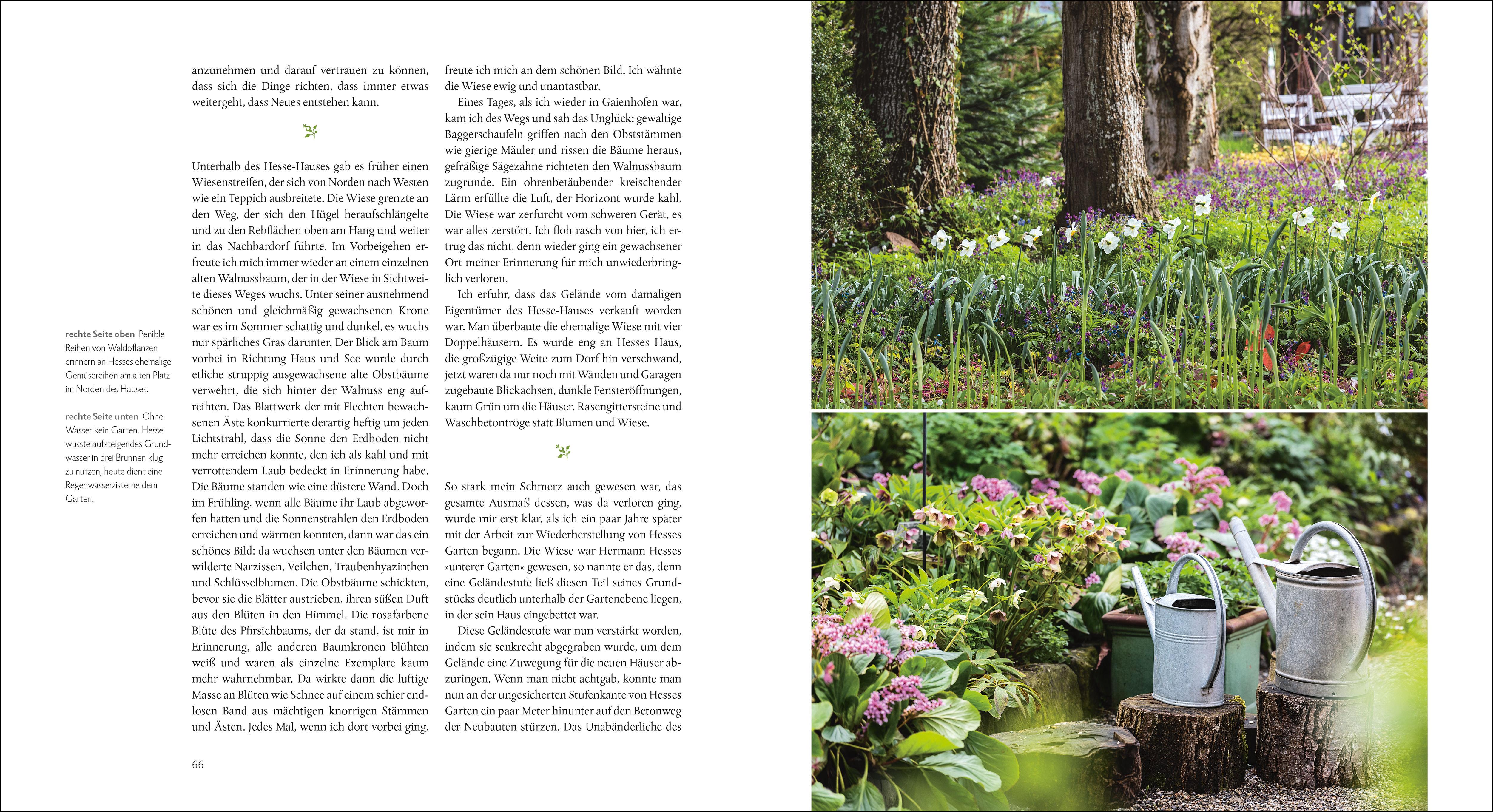 Beispielinhalt (Bild) Der Garten von Hermann Hesse