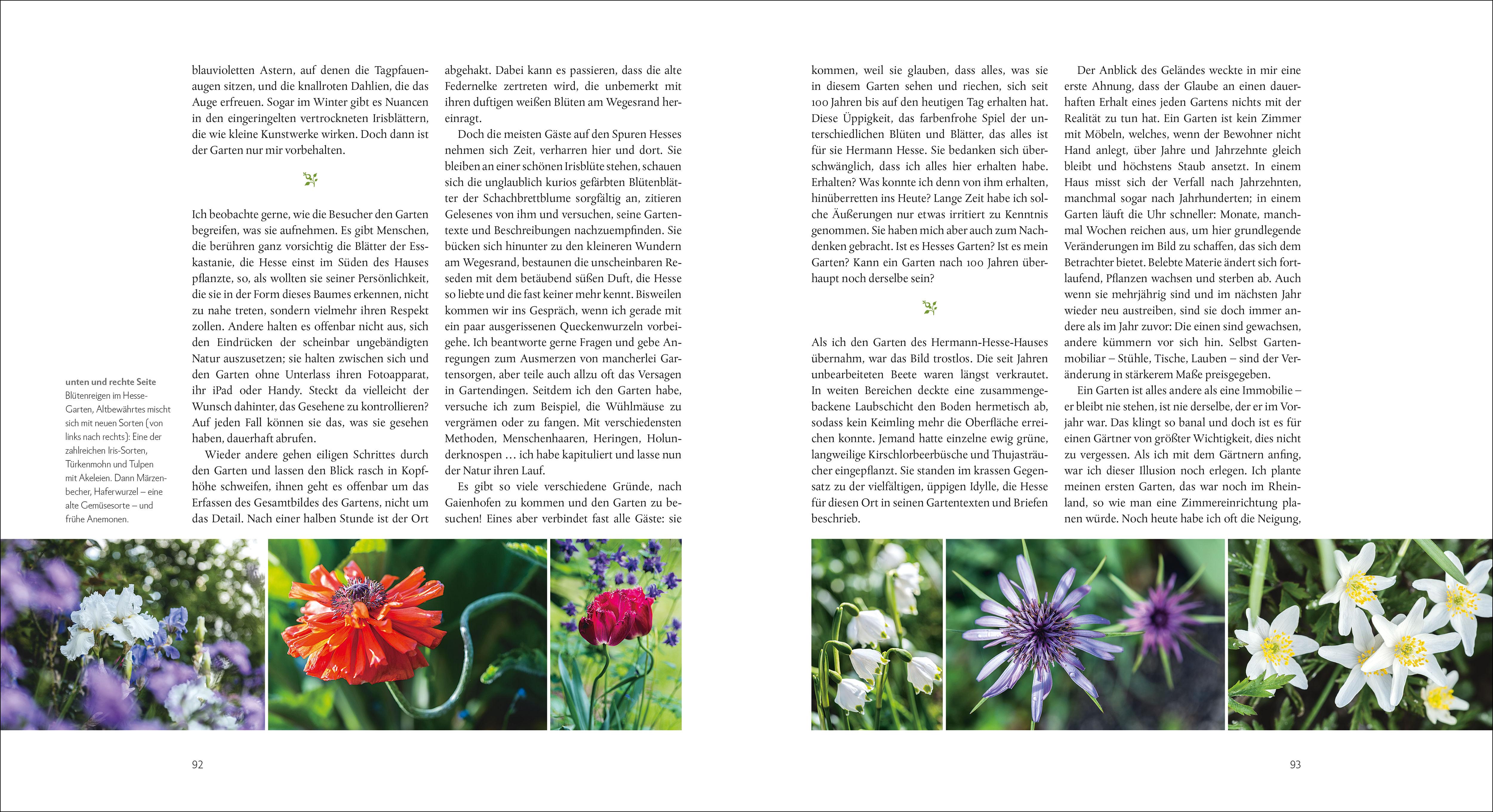 Beispielinhalt (Bild) Der Garten von Hermann Hesse