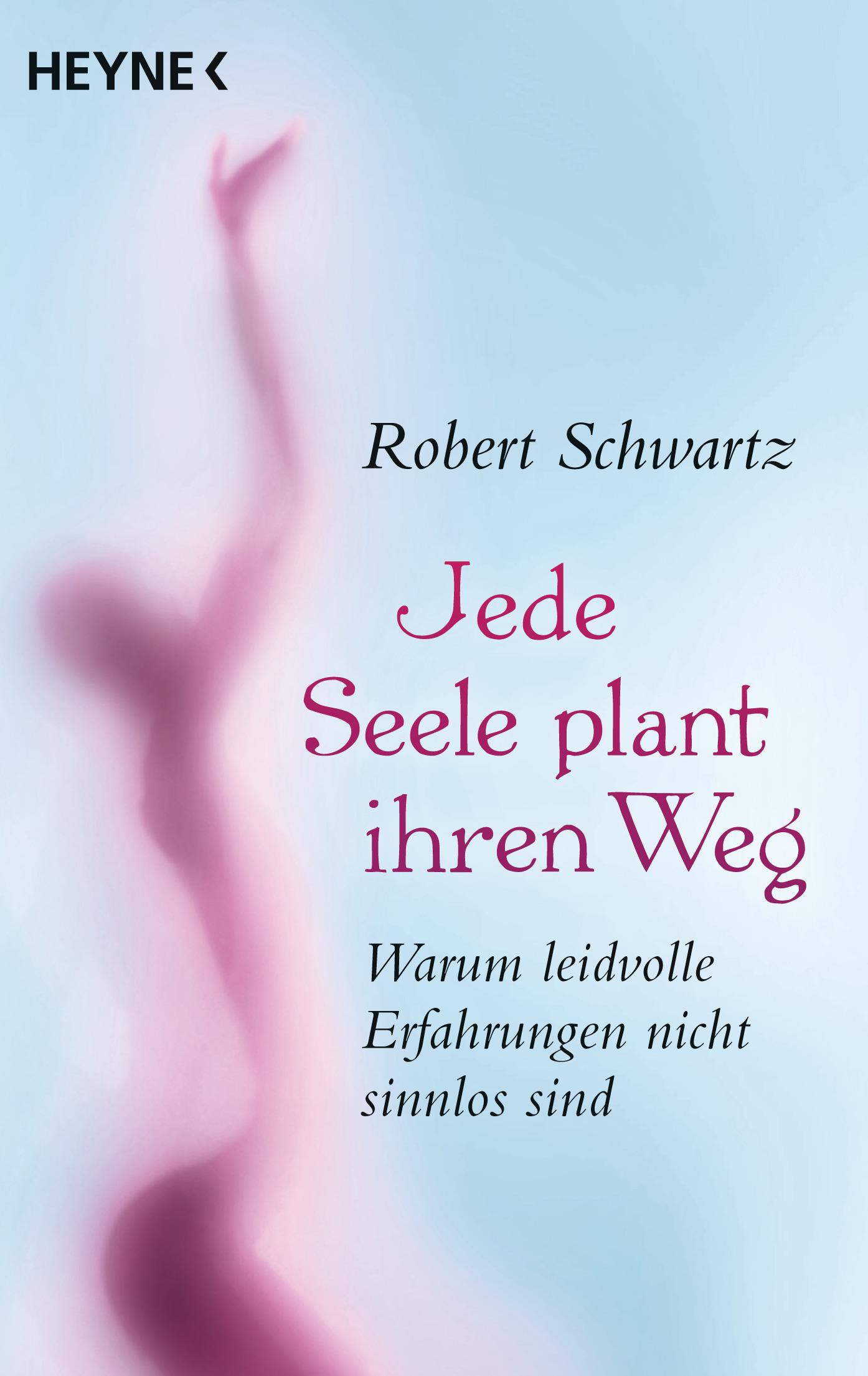 Vorderes Coverbild Jede Seele plant ihren Weg