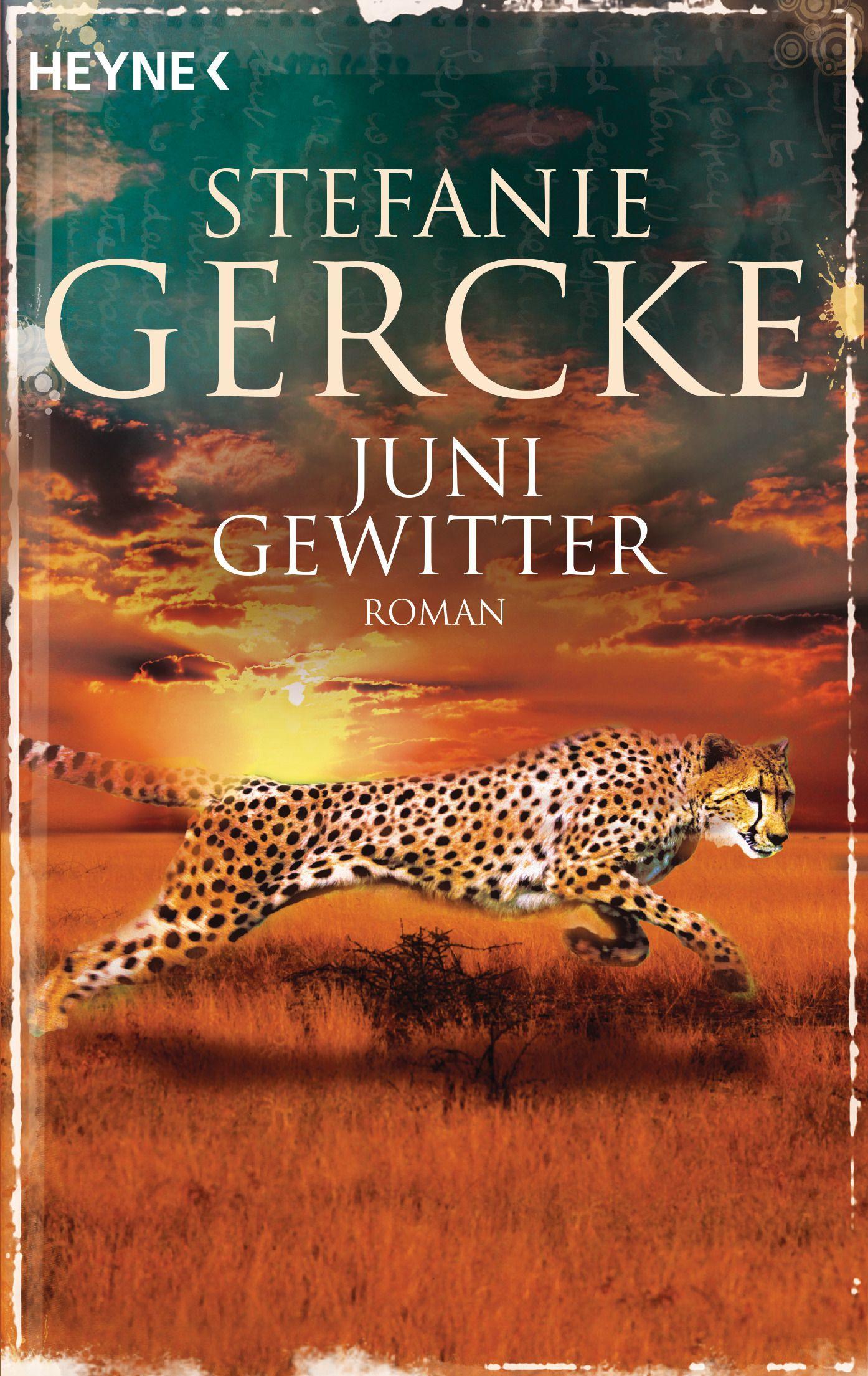 Vorderes Coverbild Junigewitter