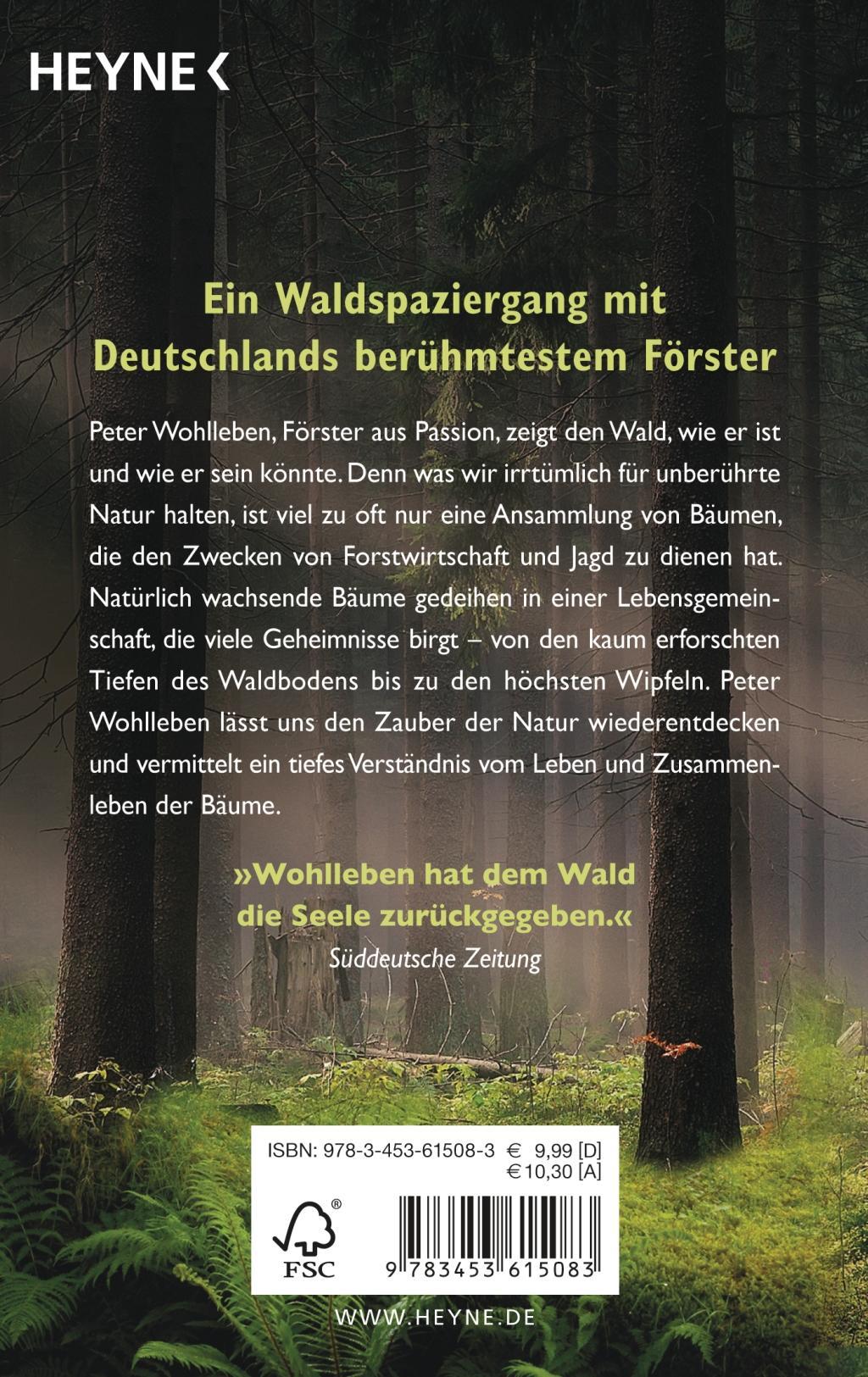 Beispielinhalt (Bild) Der Wald
