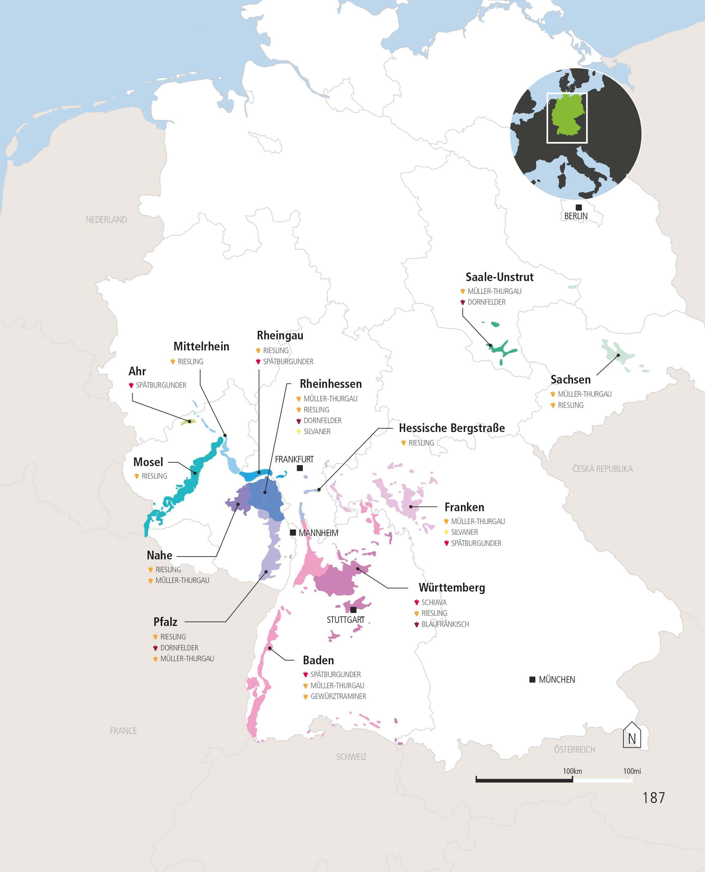 Beispielinhalt (Bild) Der ultimative Wein-Guide