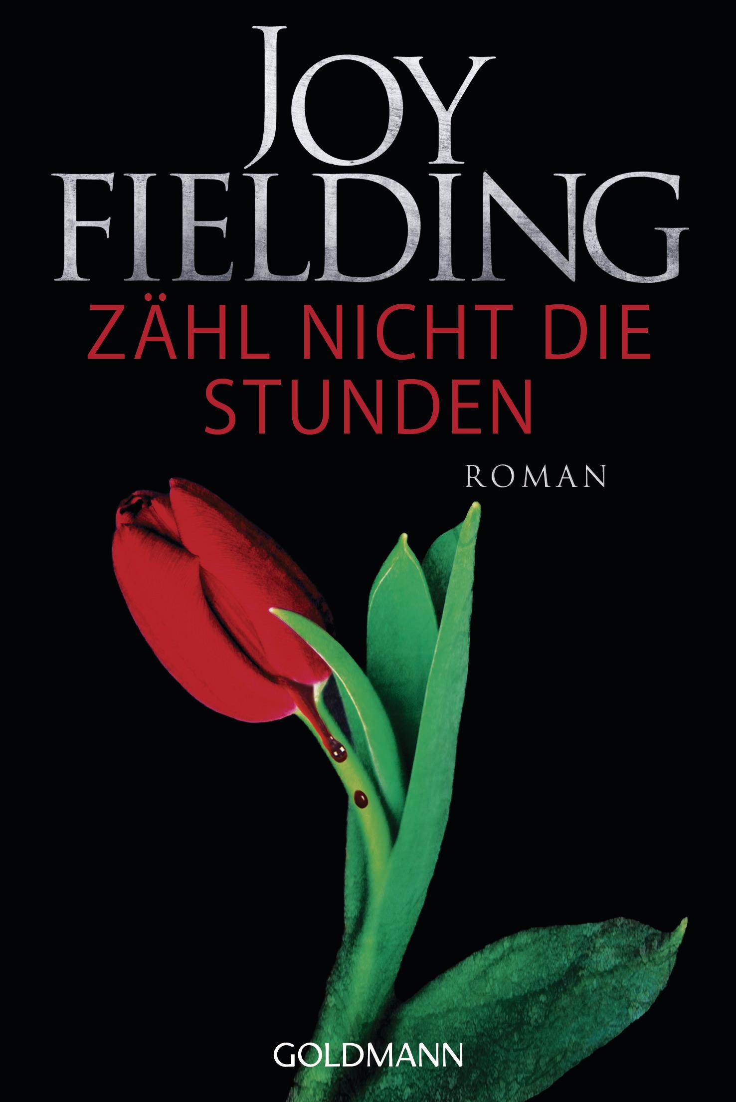 Vorderes Coverbild Zähl nicht die Stunden